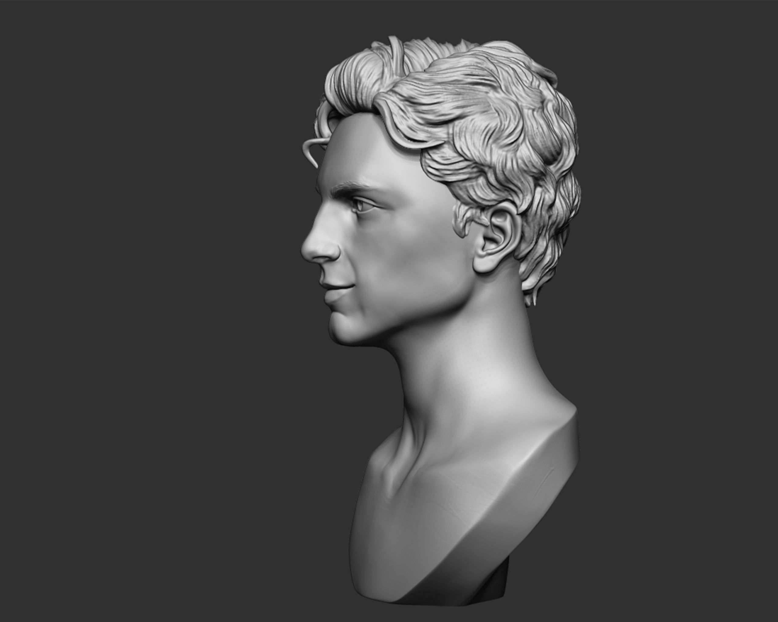 Timothee Chalamet bust sculpture 3D print model_4