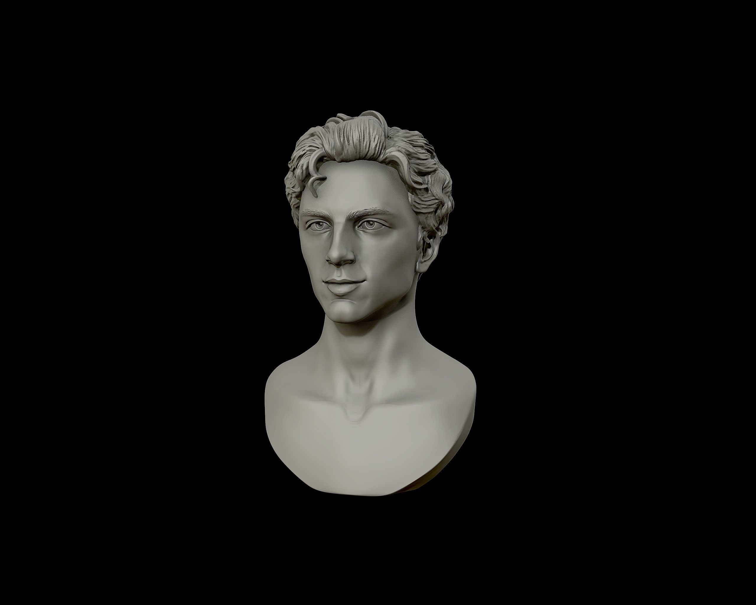 Timothee Chalamet bust sculpture 3D print model_18