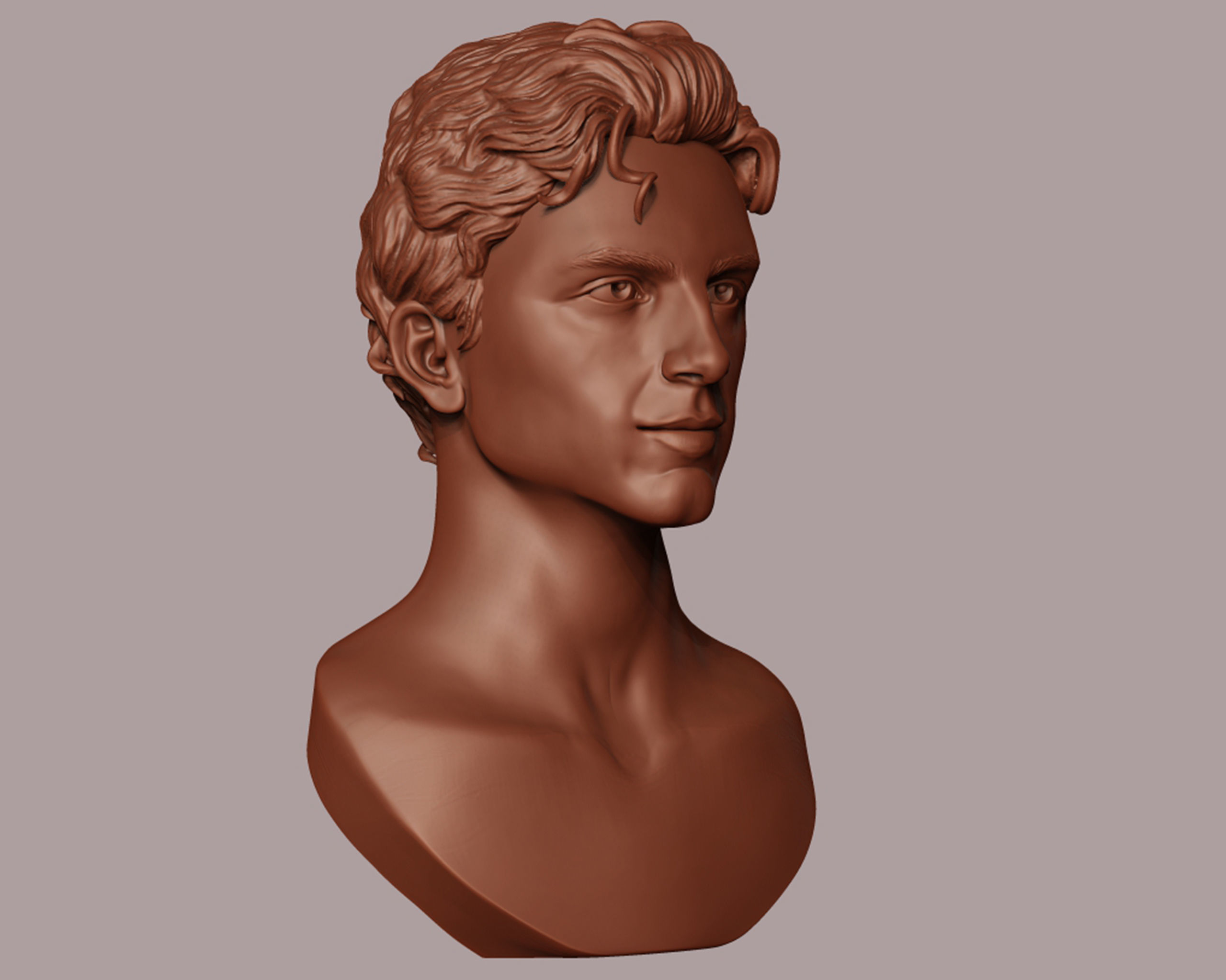 Timothee Chalamet bust sculpture 3D print model_15
