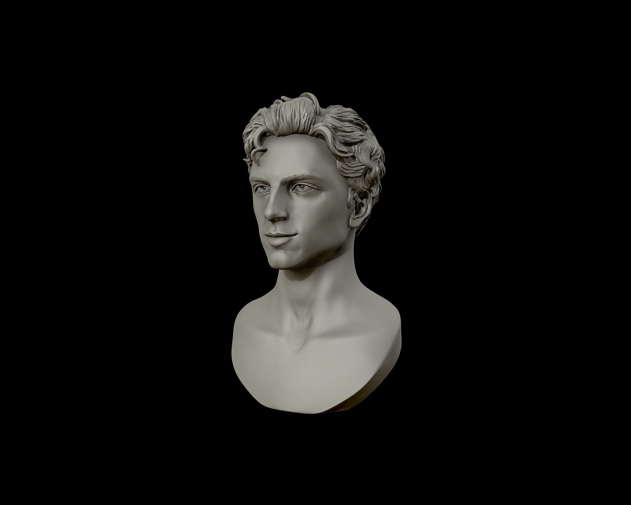 Timothee Chalamet bust sculpture 3D print model_19