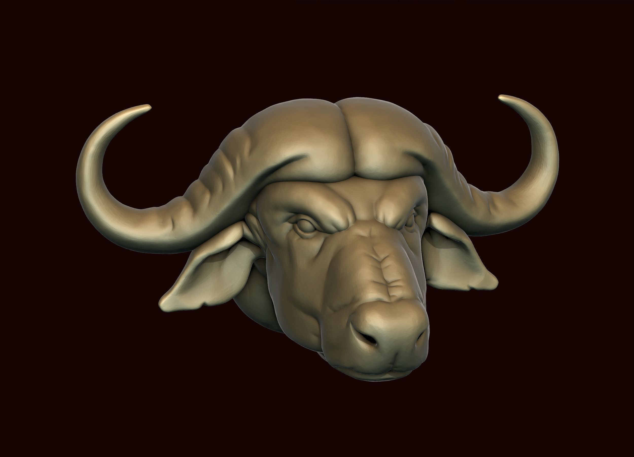 Cape Buffalo 3D print model_7