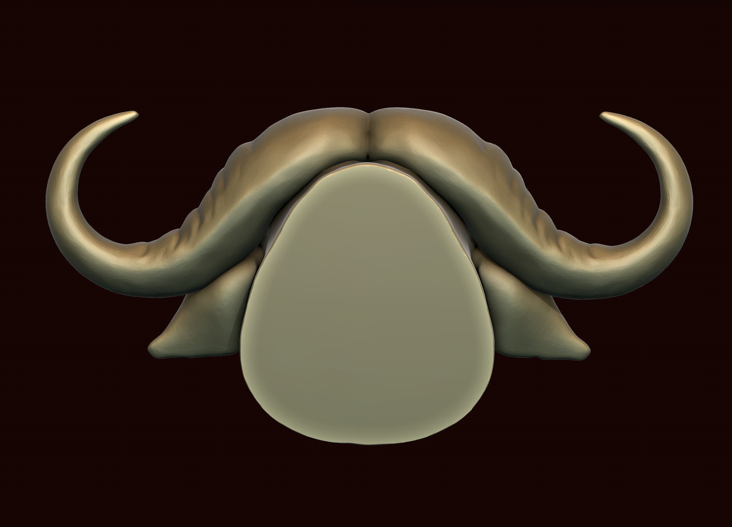 Cape Buffalo 3D print model_5