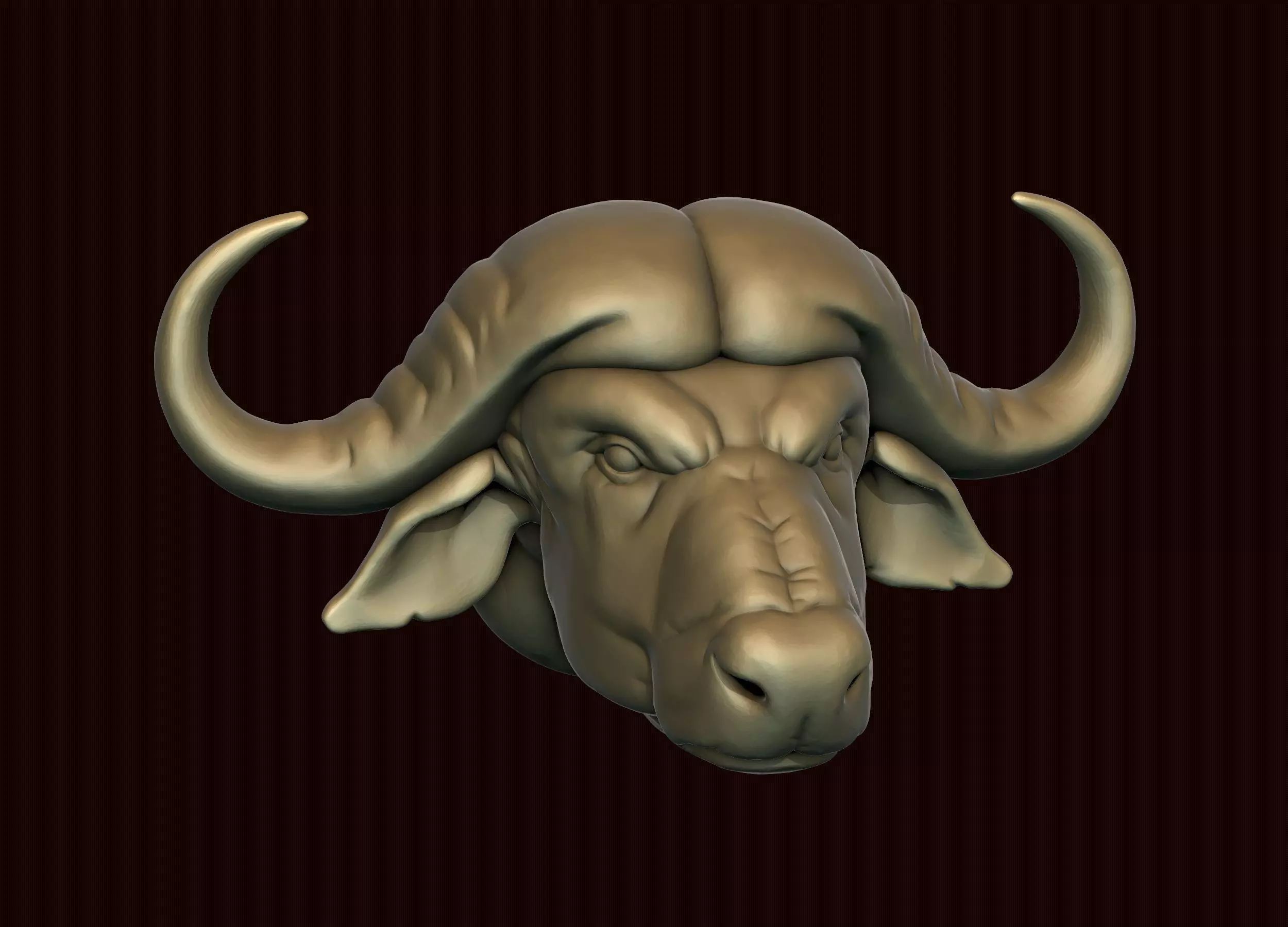 Cape Buffalo 3D print model_0