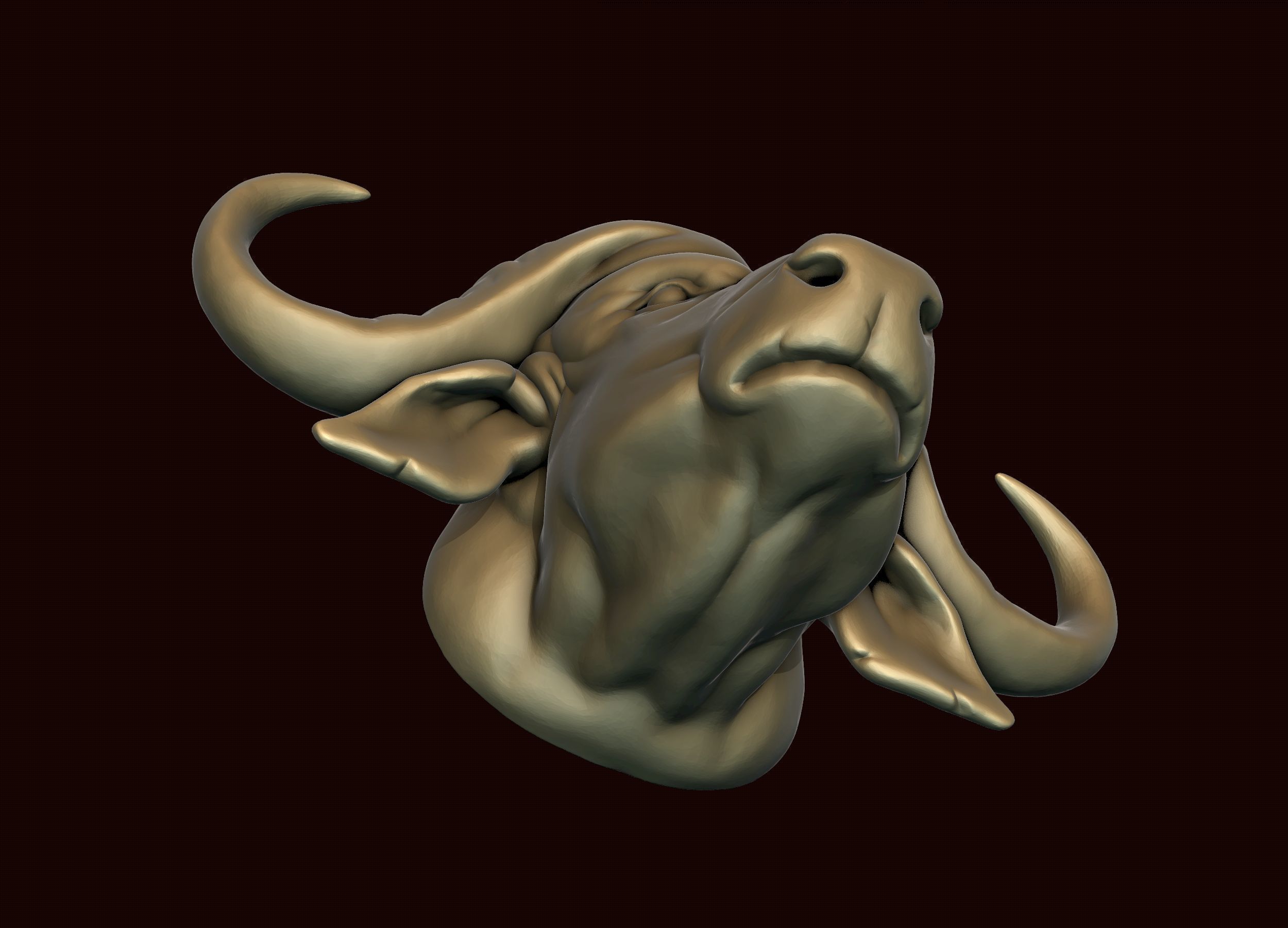 Cape Buffalo 3D print model_9