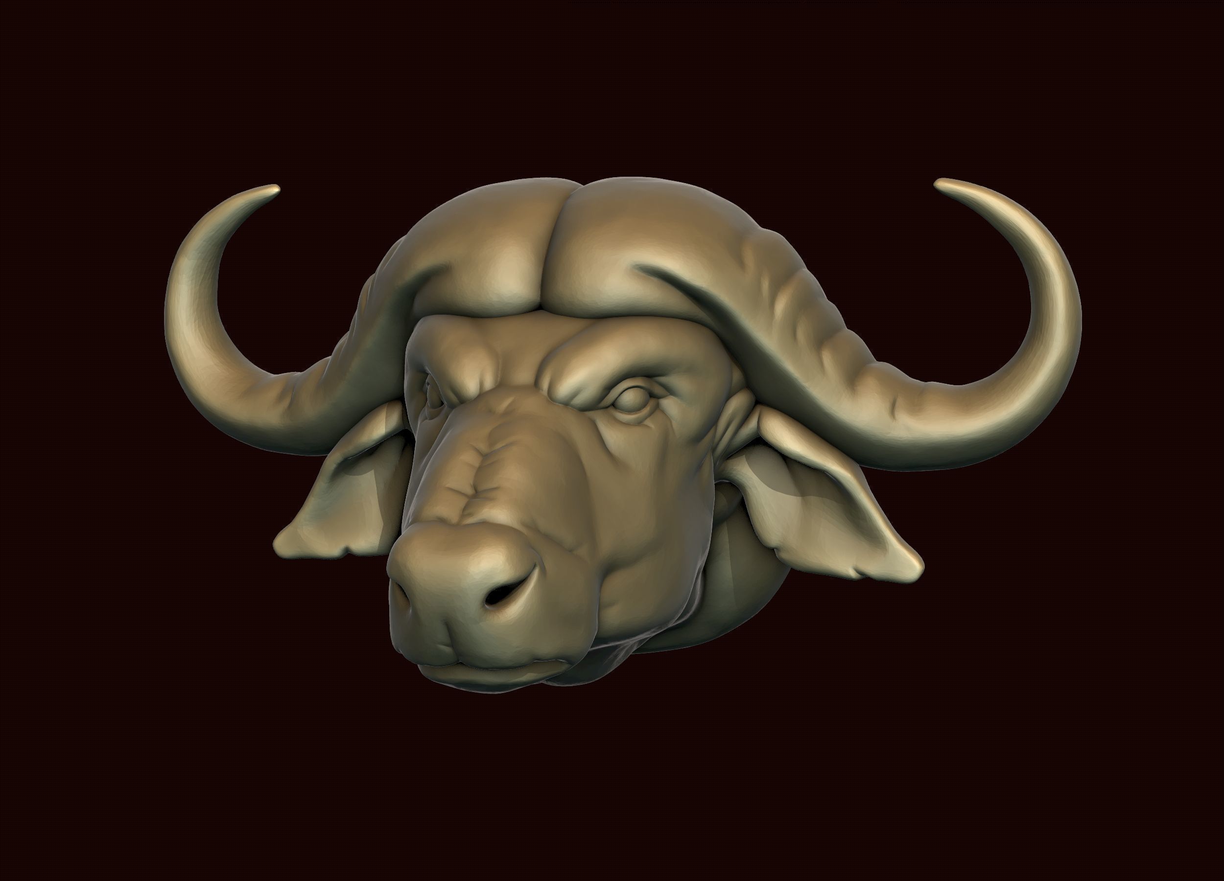 Cape Buffalo 3D print model_1