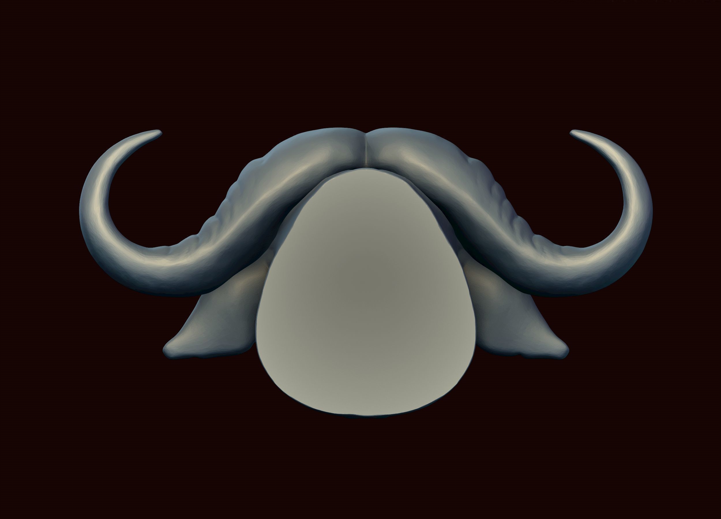 Cape Buffalo 3D print model_12