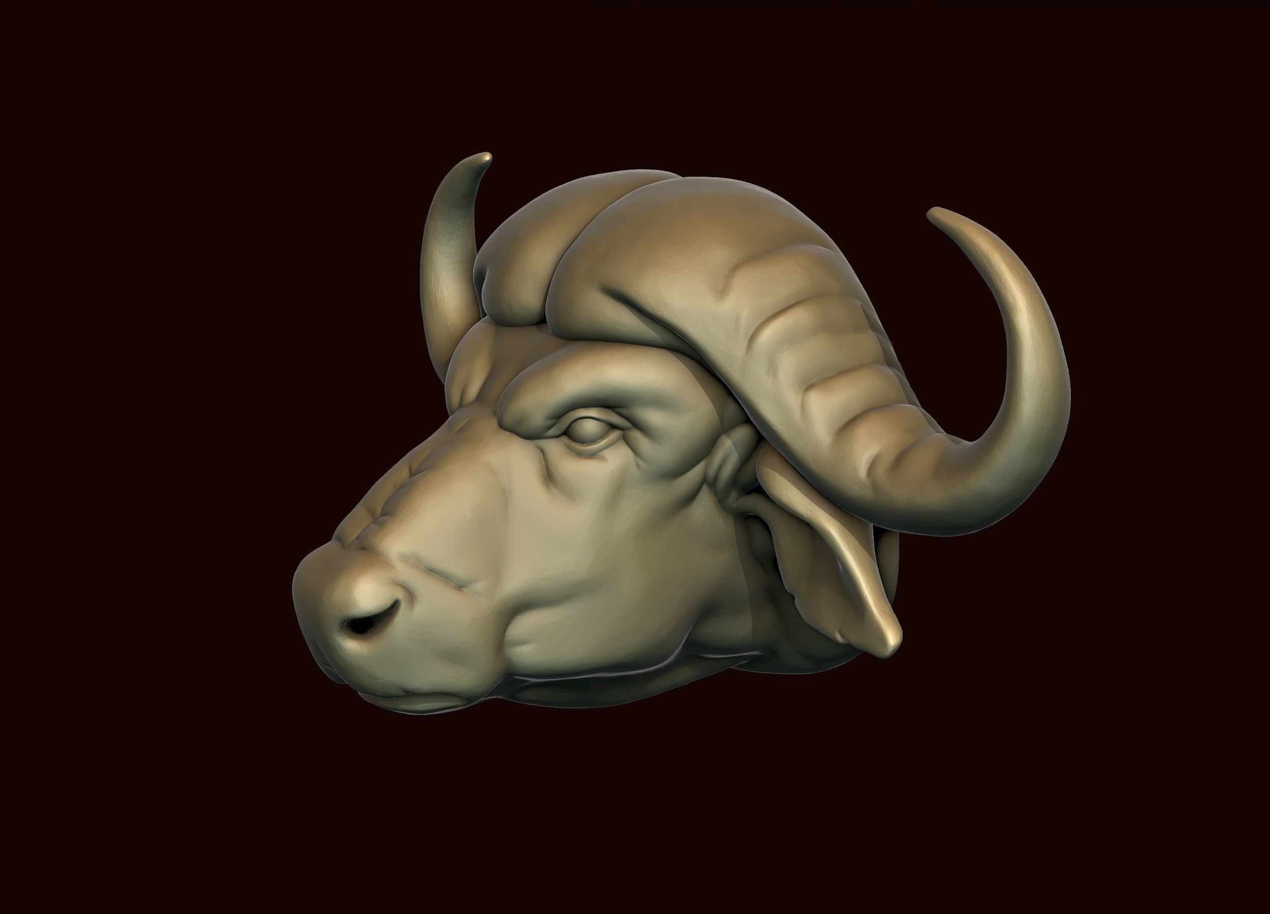 Cape Buffalo 3D print model_2