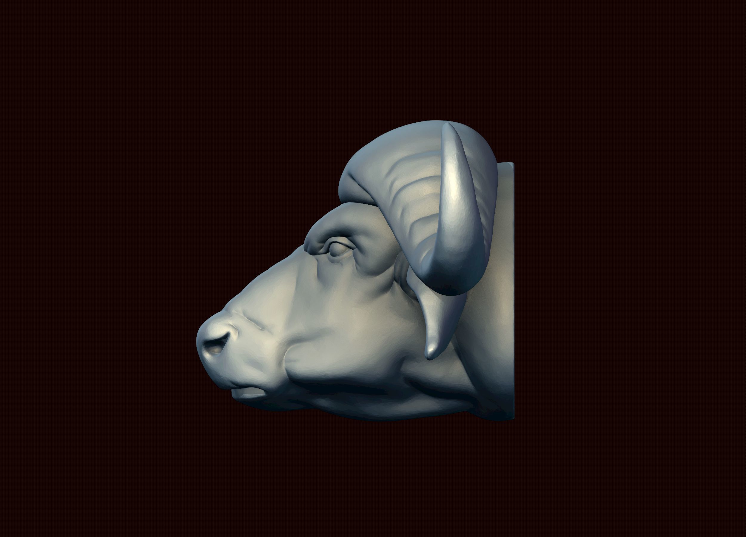 Cape Buffalo 3D print model_11