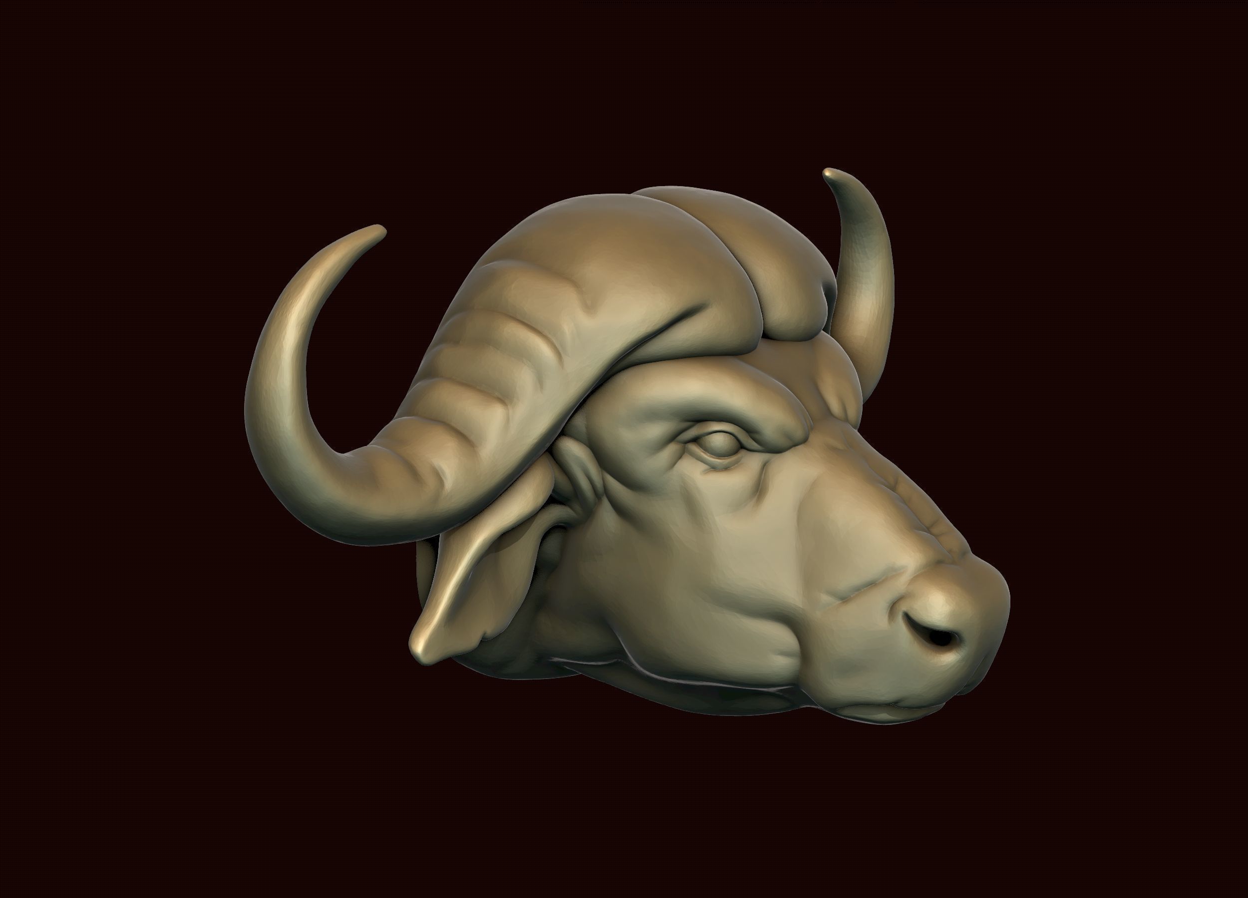 Cape Buffalo 3D print model_6