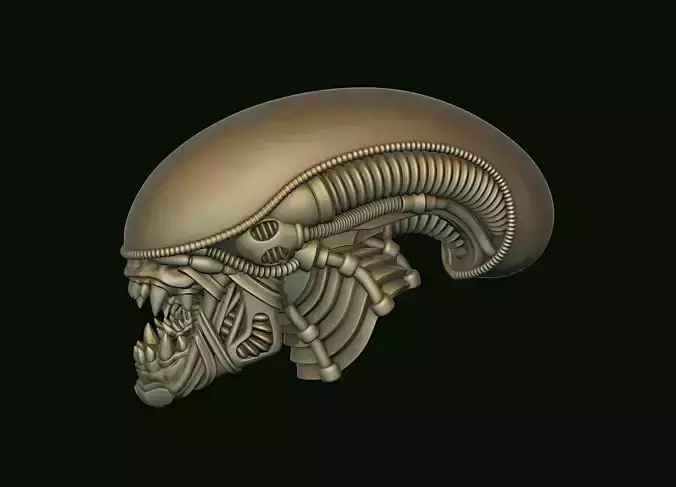 Xenomorph Alien Biomechanical Head