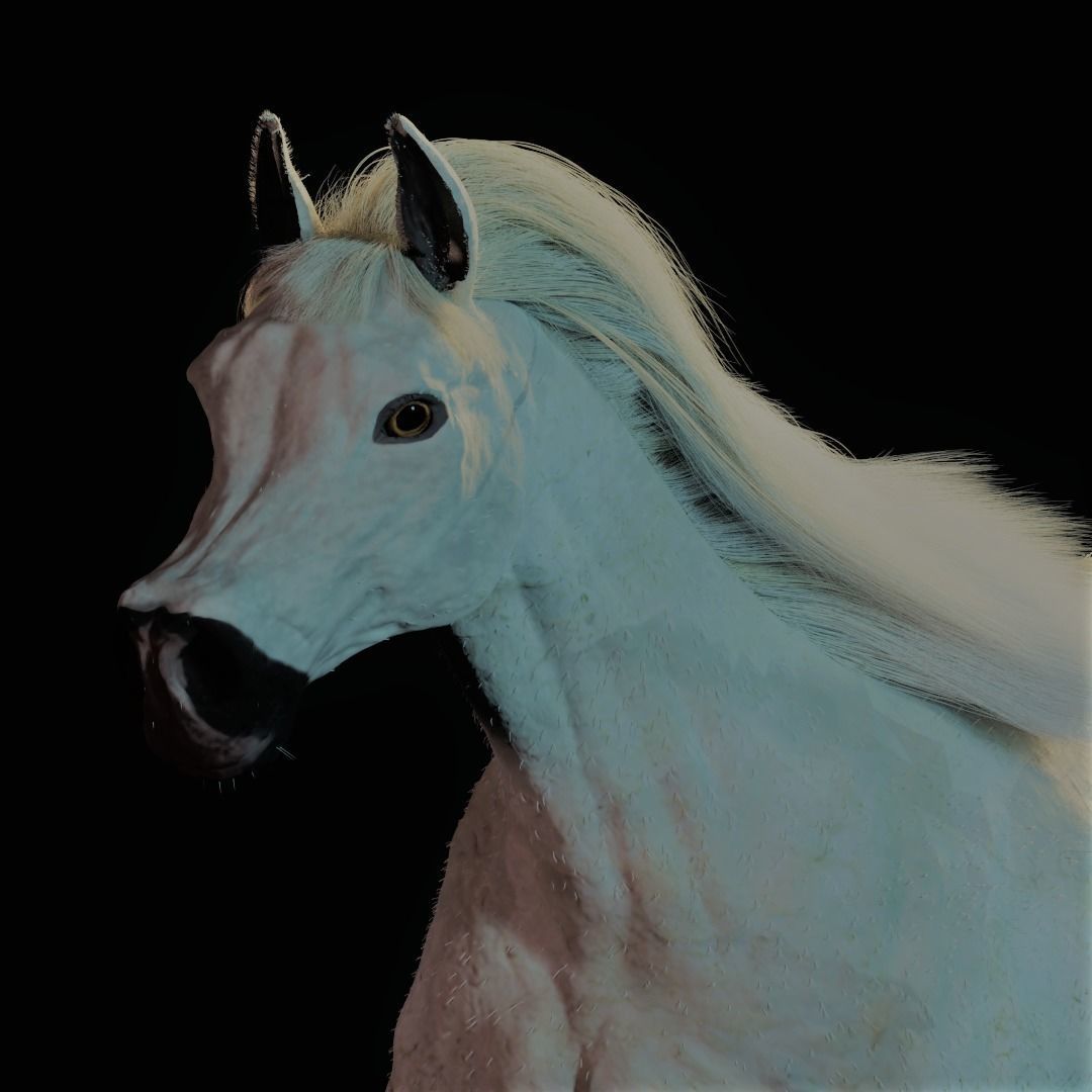Horse with Mane RIGGED Model 3D model_2