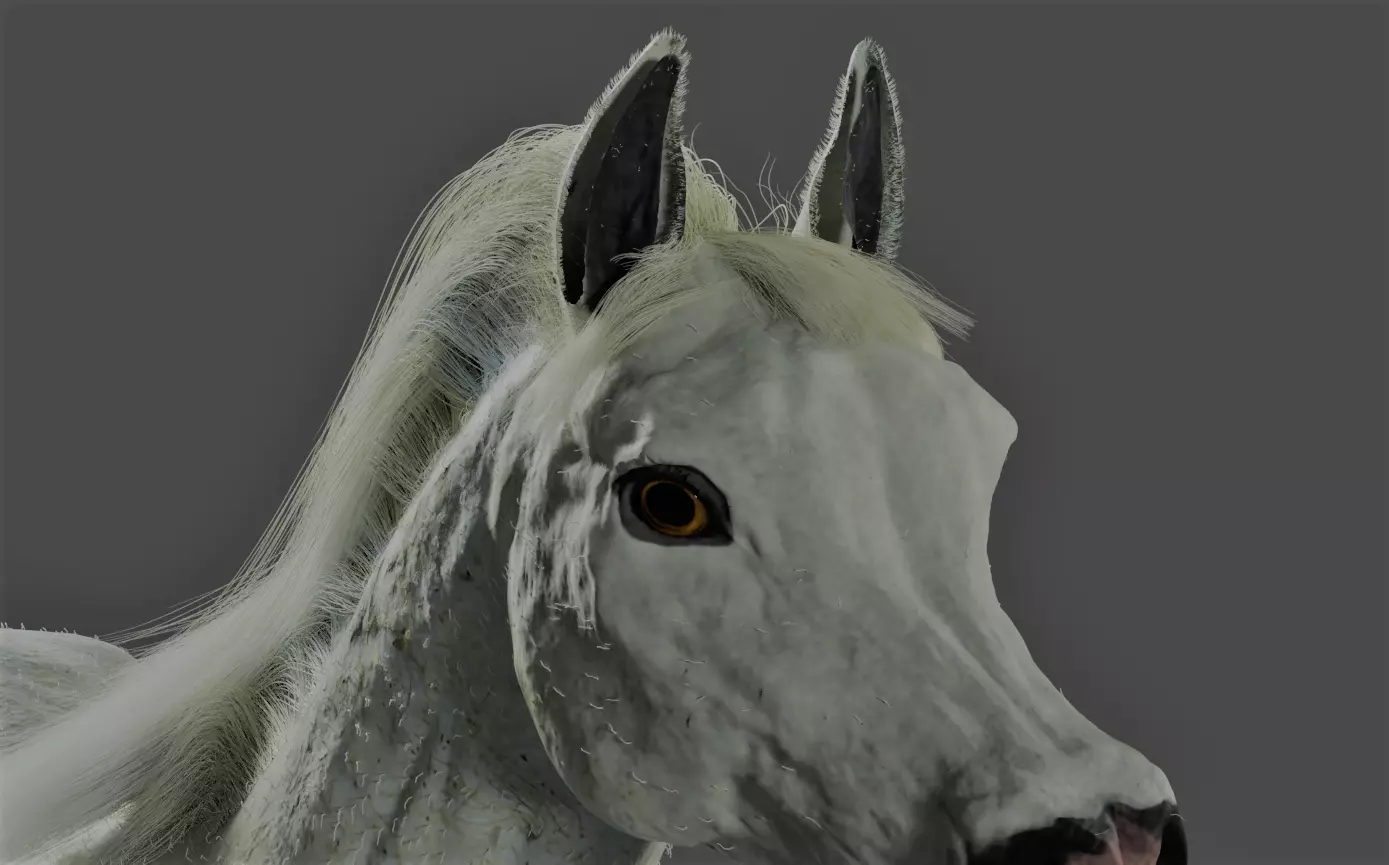 Horse with Mane RIGGED Model 3D model_0
