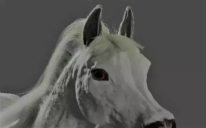 Horse with Mane RIGGED Model