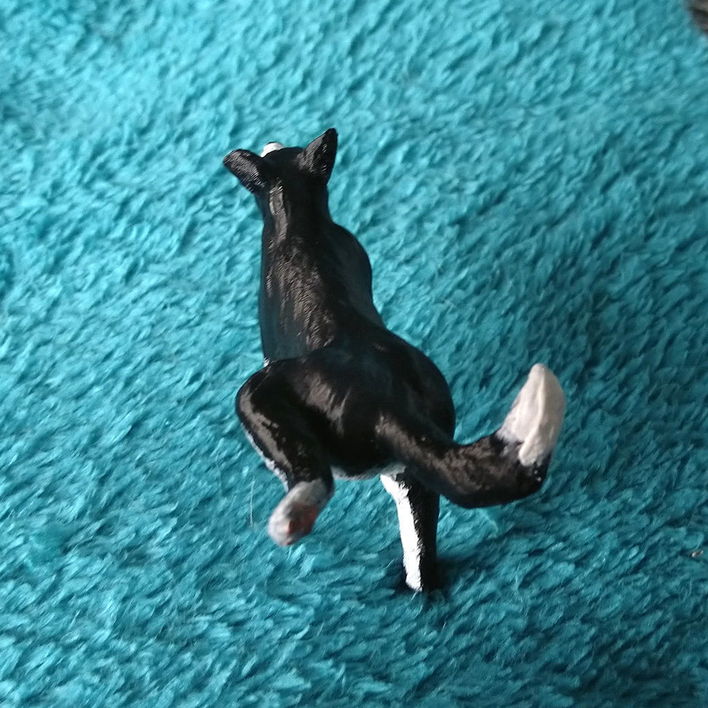 Peeing dog border collie chien qui fait pipi 3D print model_13