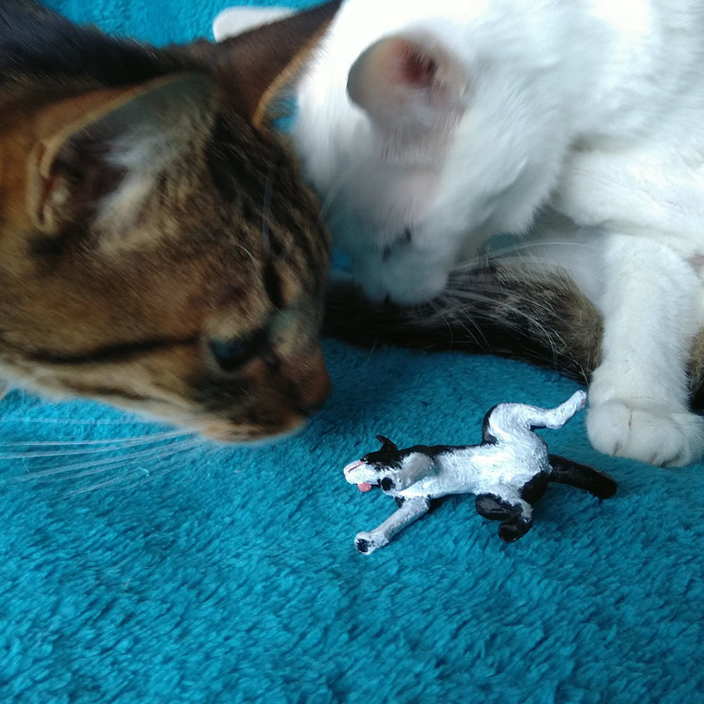 Peeing dog border collie chien qui fait pipi 3D print model_11