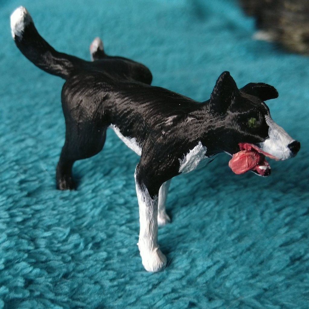 Peeing dog border collie chien qui fait pipi 3D print model_14