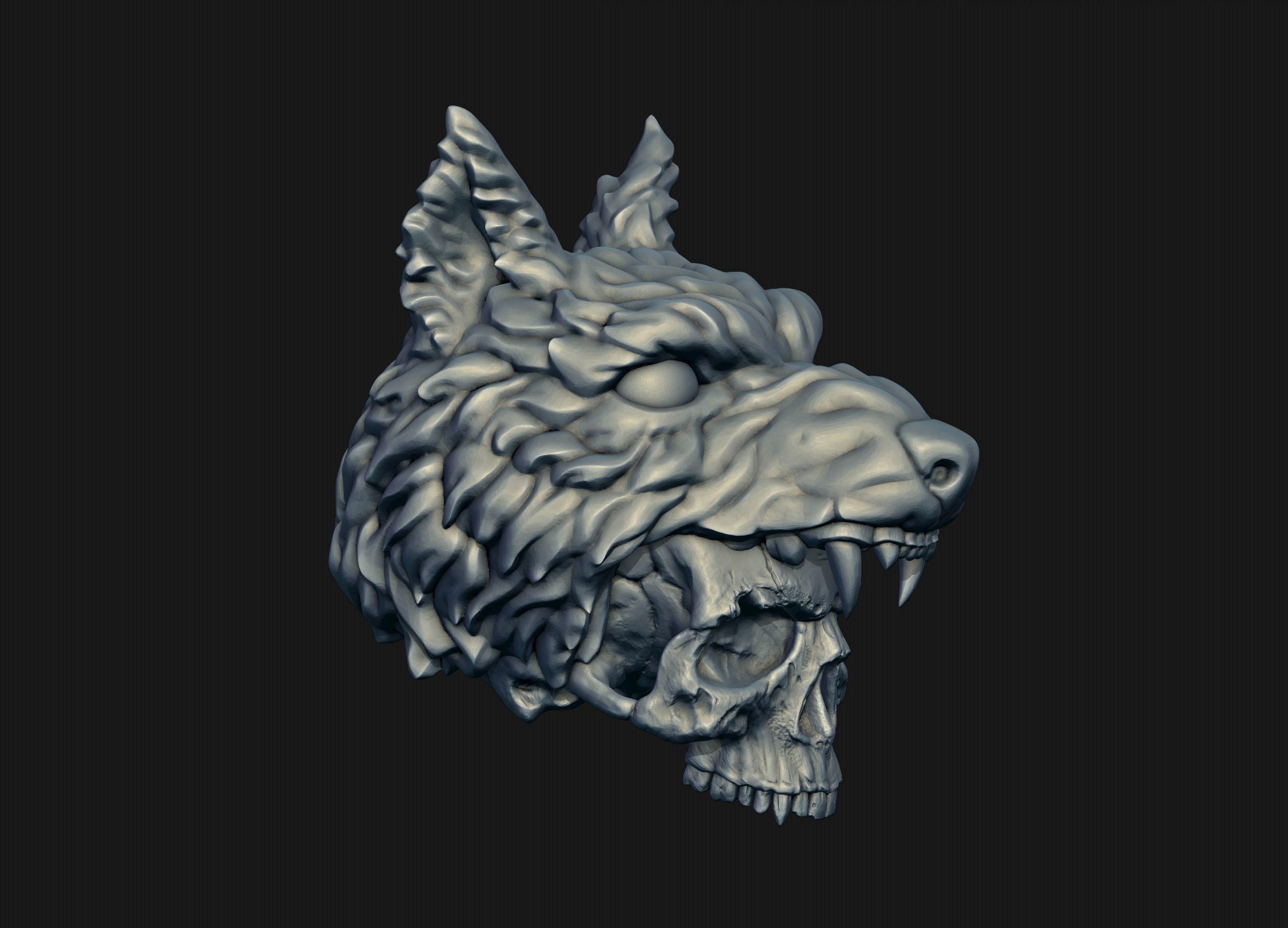 Skull Wolf Scalp 3D print model_8