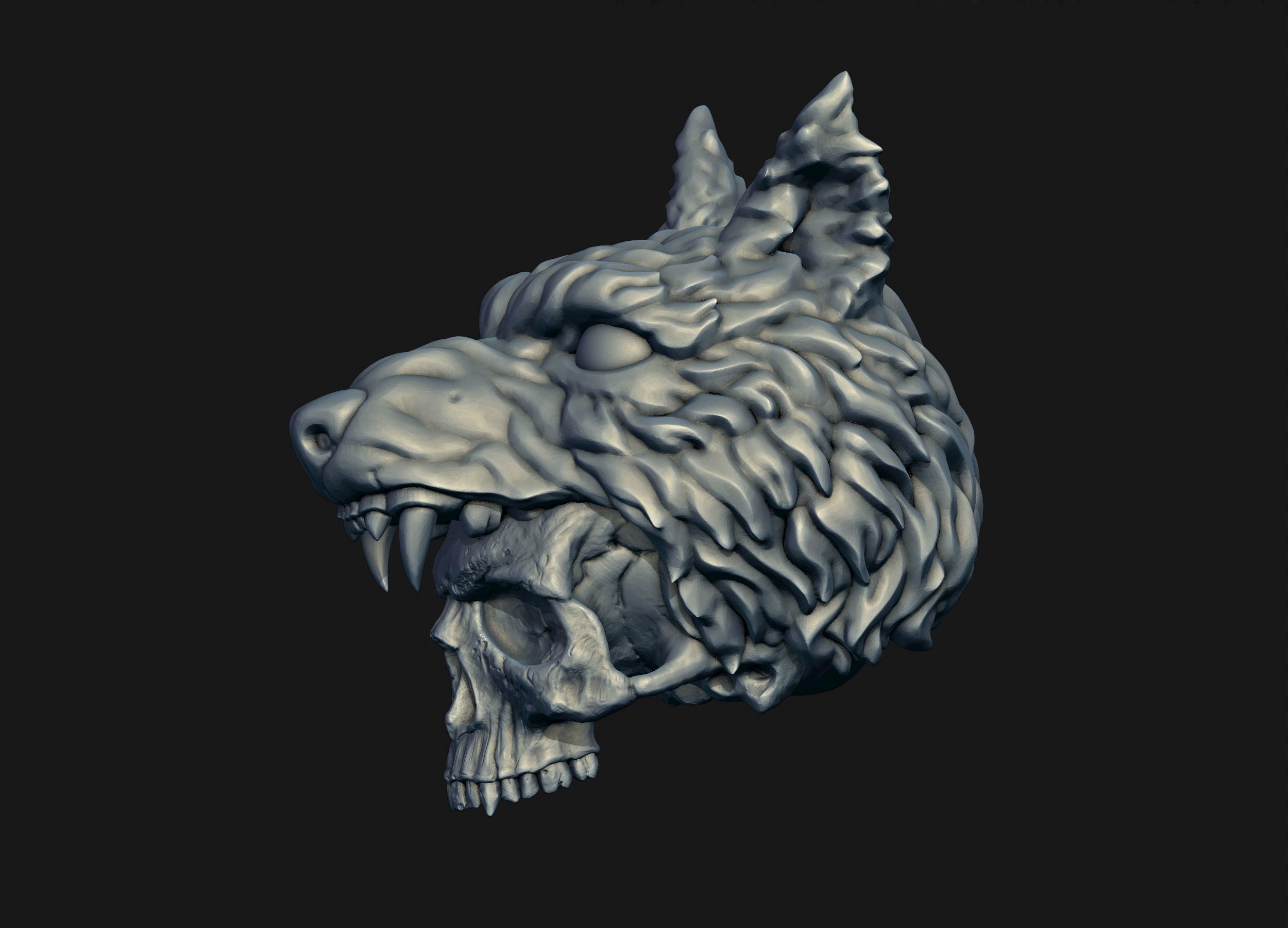 Skull Wolf Scalp 3D print model_4