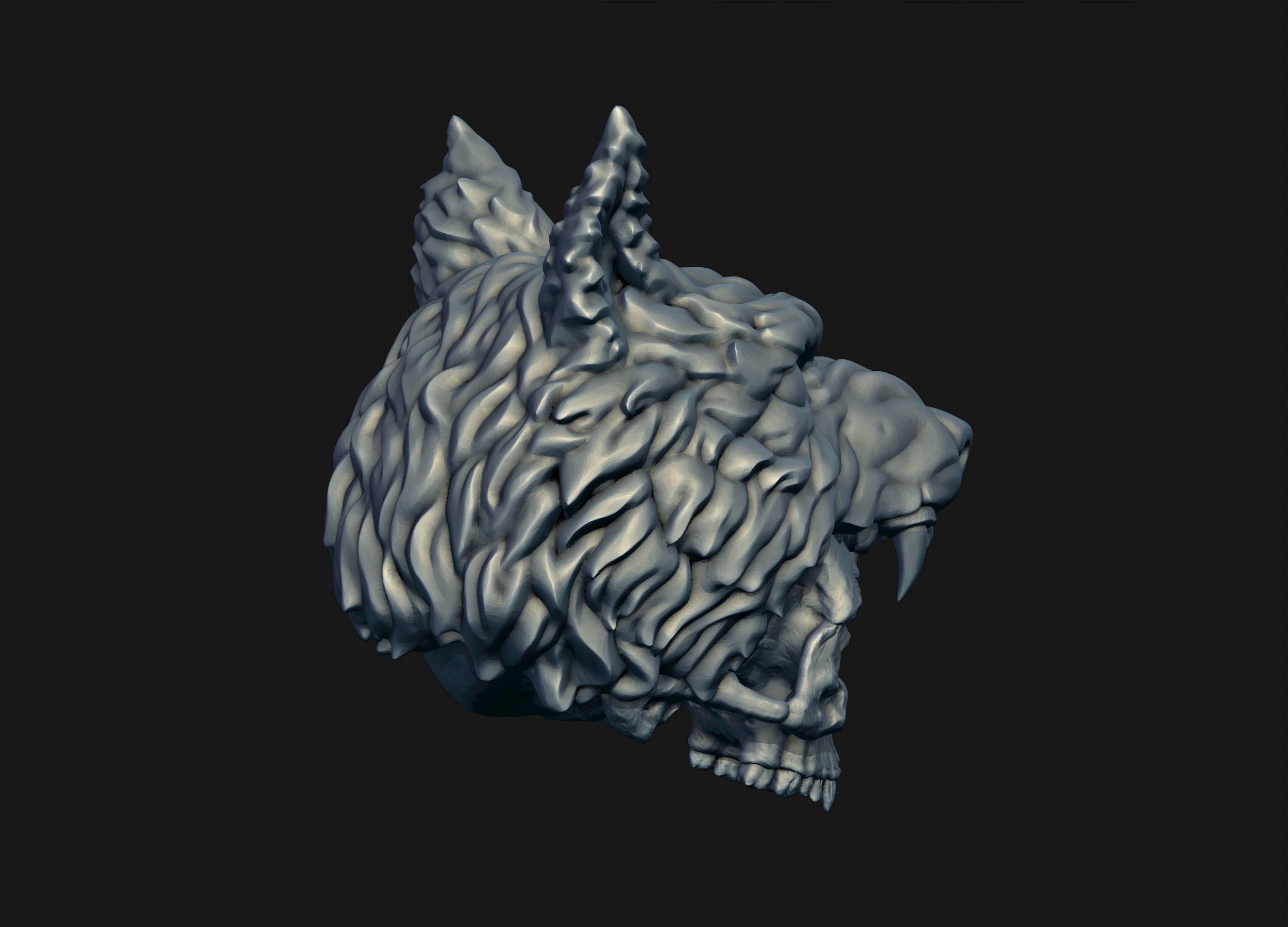Skull Wolf Scalp 3D print model_7