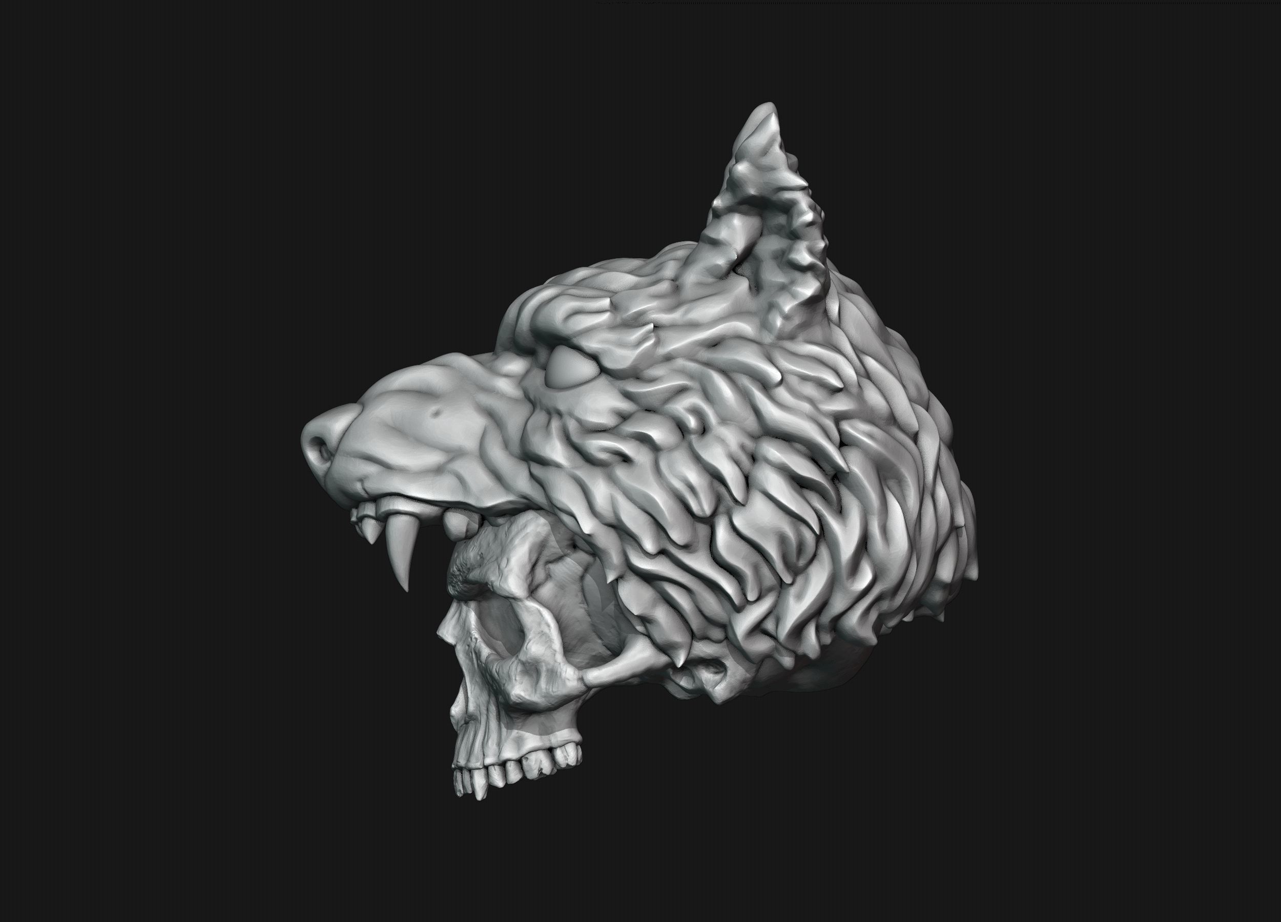Skull Wolf Scalp 3D print model_17