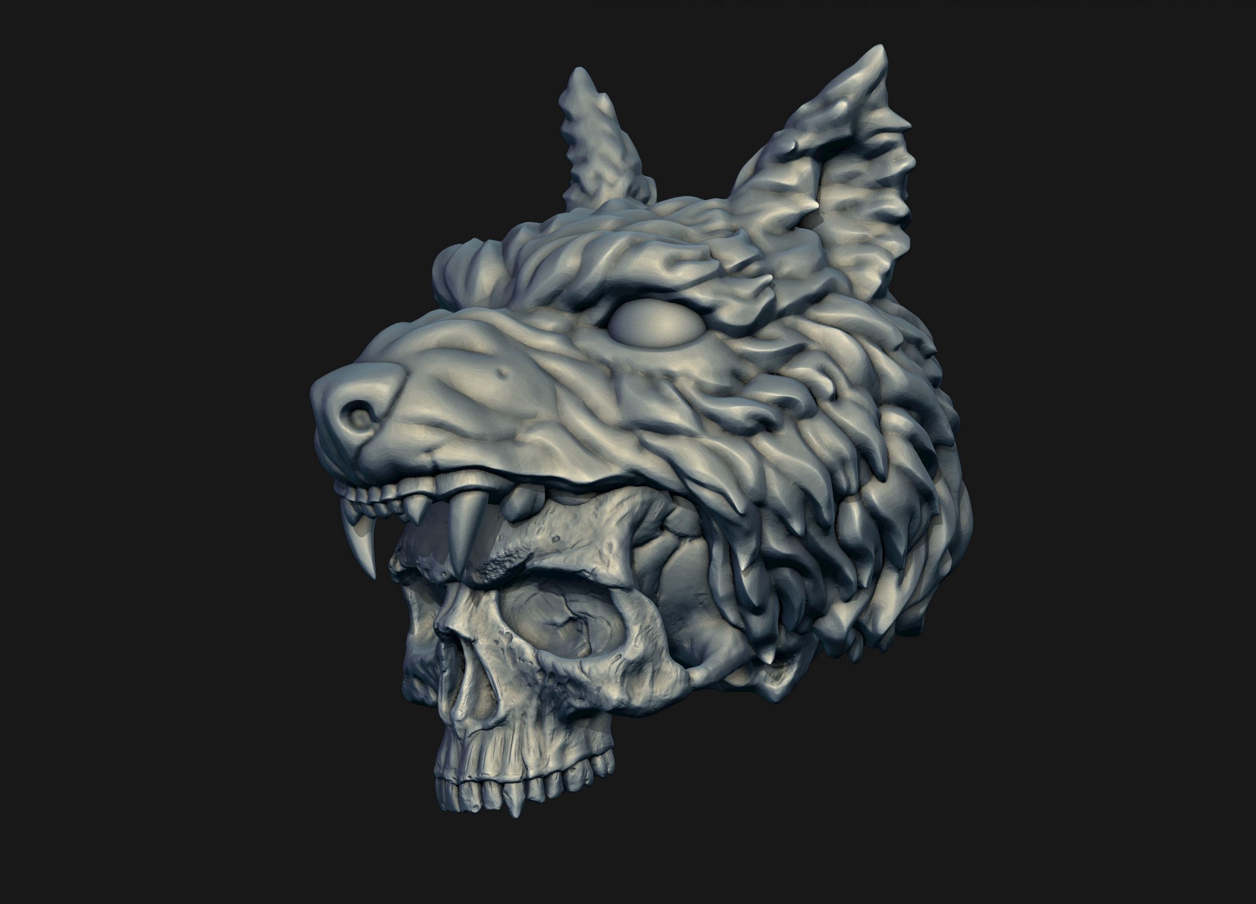 Skull Wolf Scalp 3D print model_3