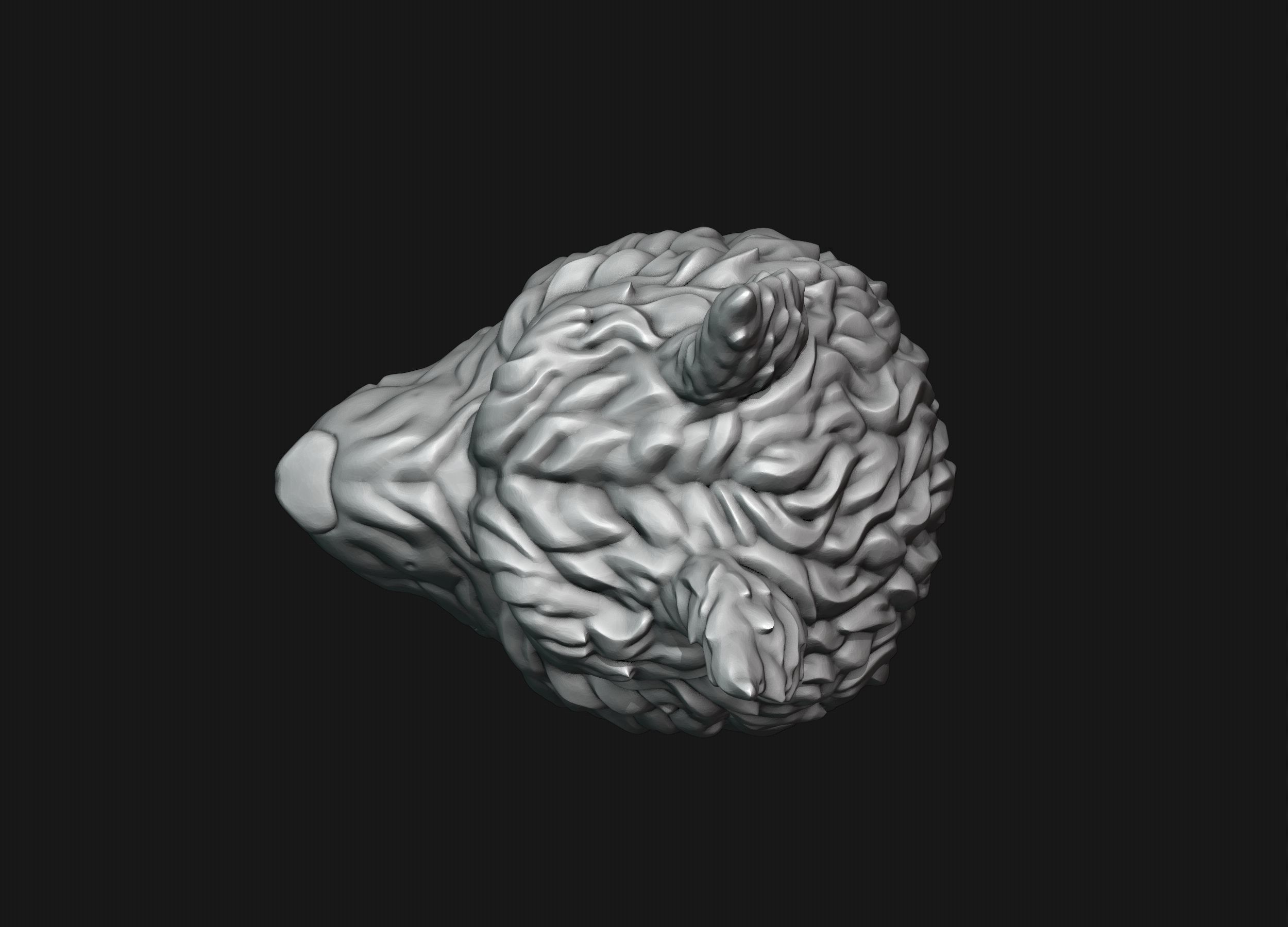 Skull Wolf Scalp 3D print model_18