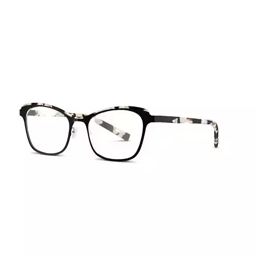 JF Rey - JF2792 0010 Glasses Low-poly 3D model