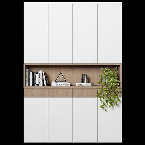 Cabinet with shelves 63 3D model