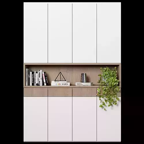 Cabinet with shelves 63