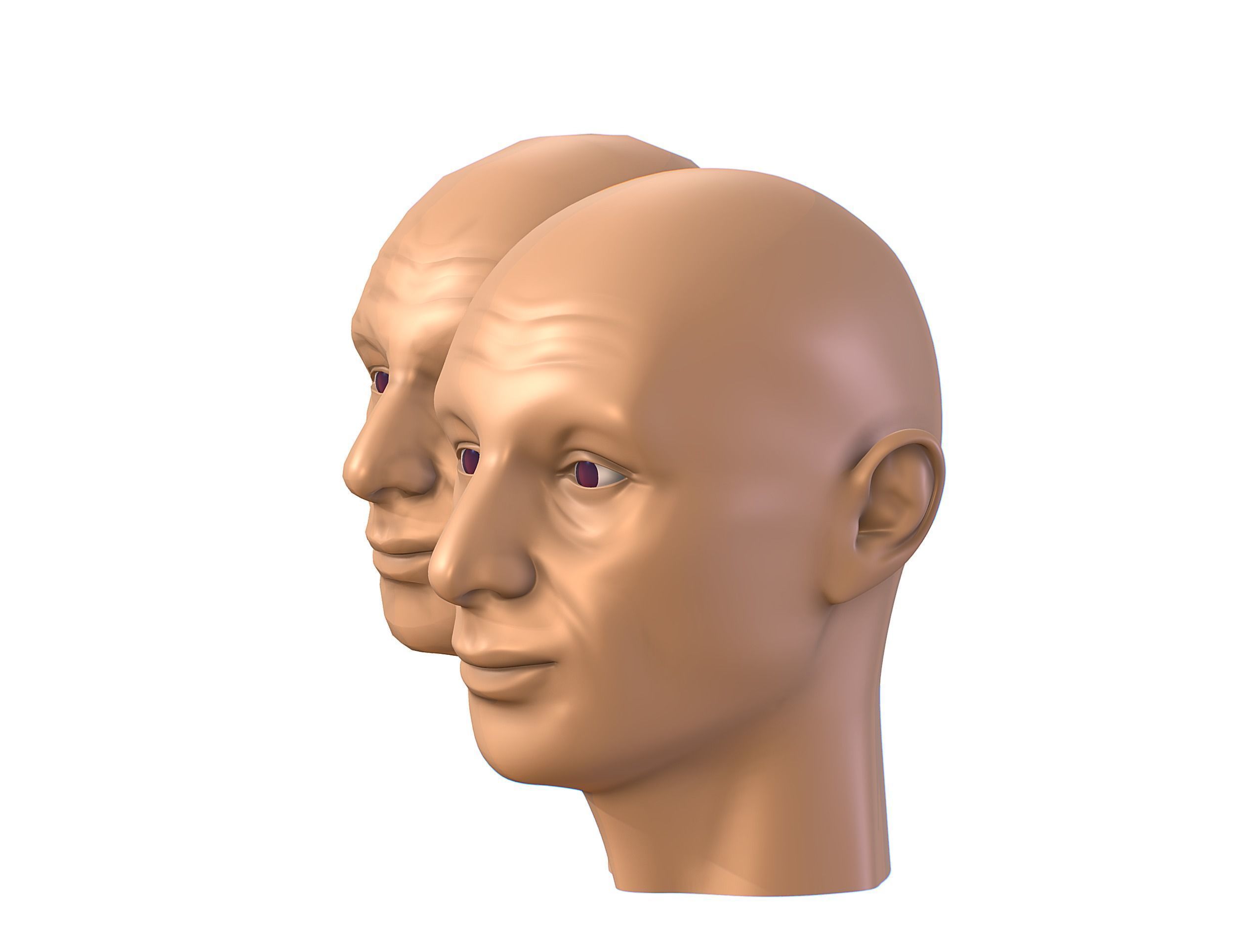 subdivision 3d model bald mans head Low-poly 3D model_9