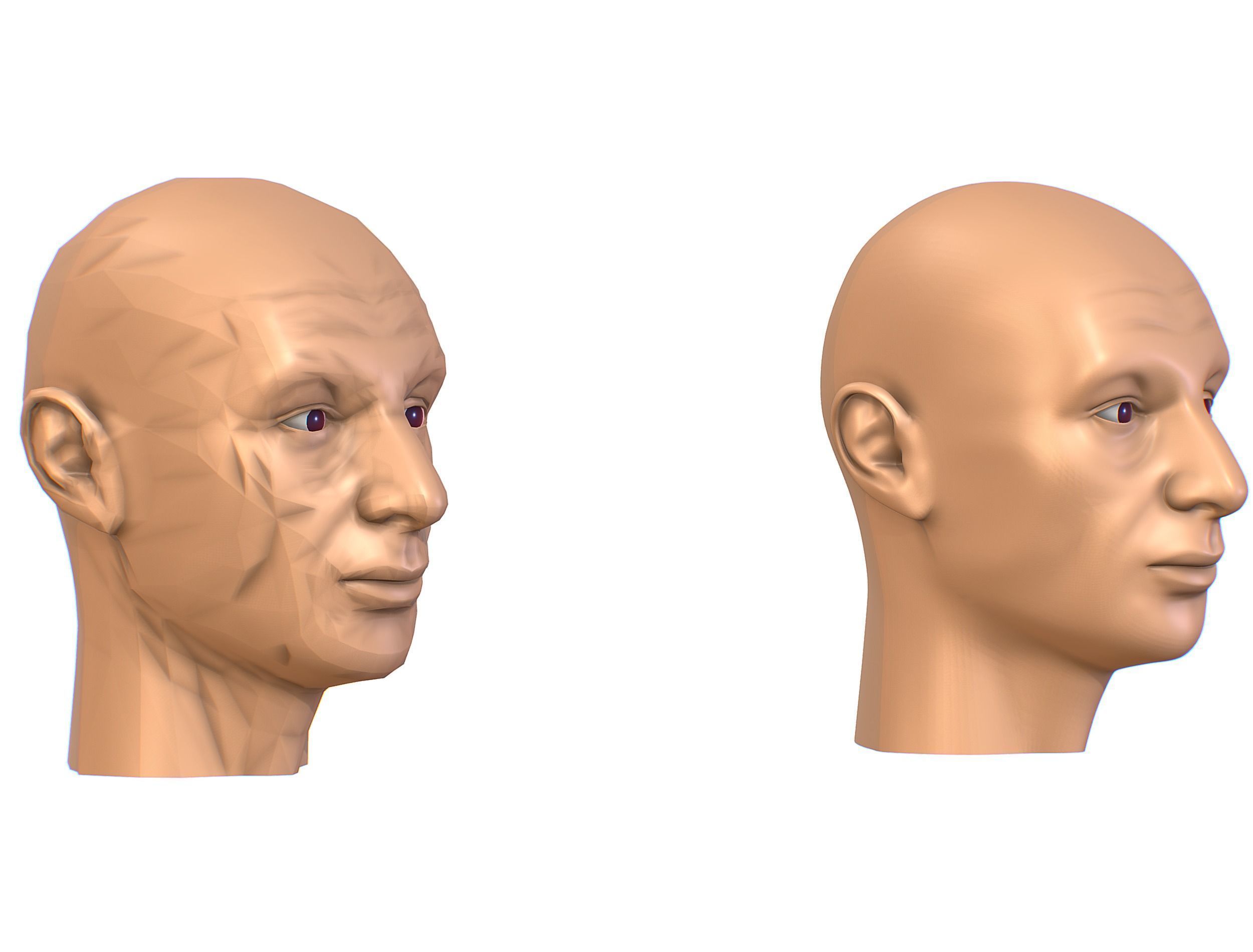 subdivision 3d model bald mans head Low-poly 3D model_3
