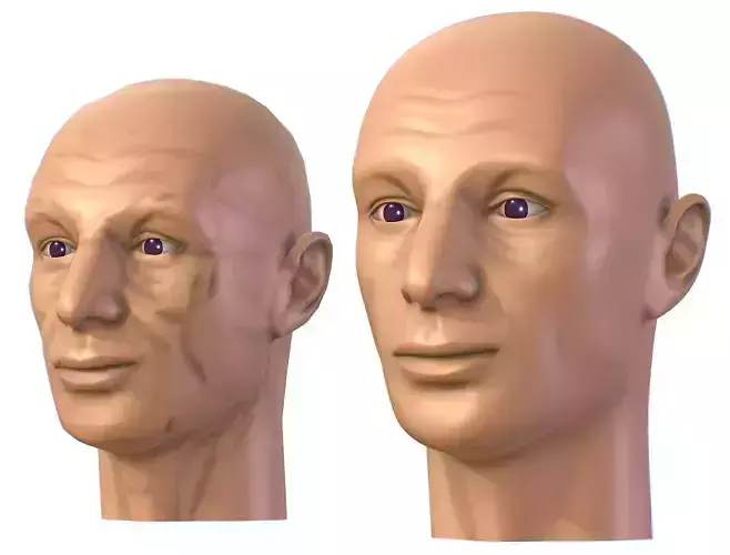 subdivision 3d model bald mans head