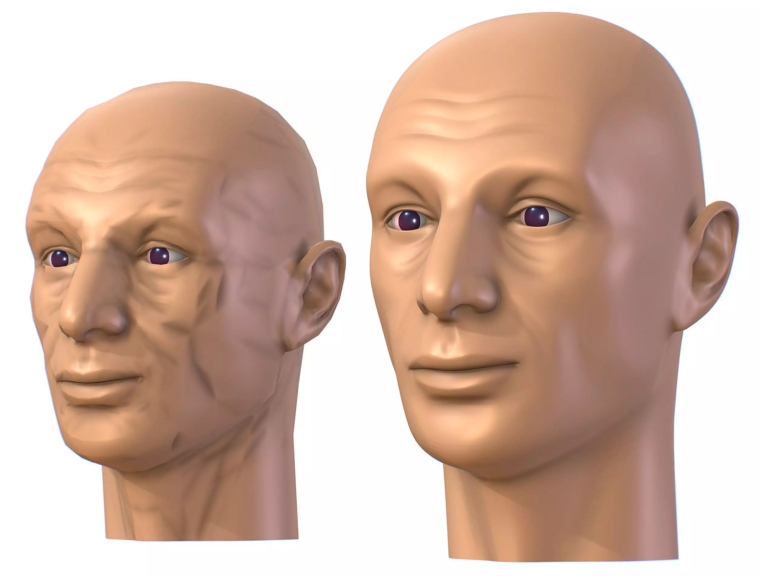 subdivision 3d model bald mans head Low-poly 3D model_0