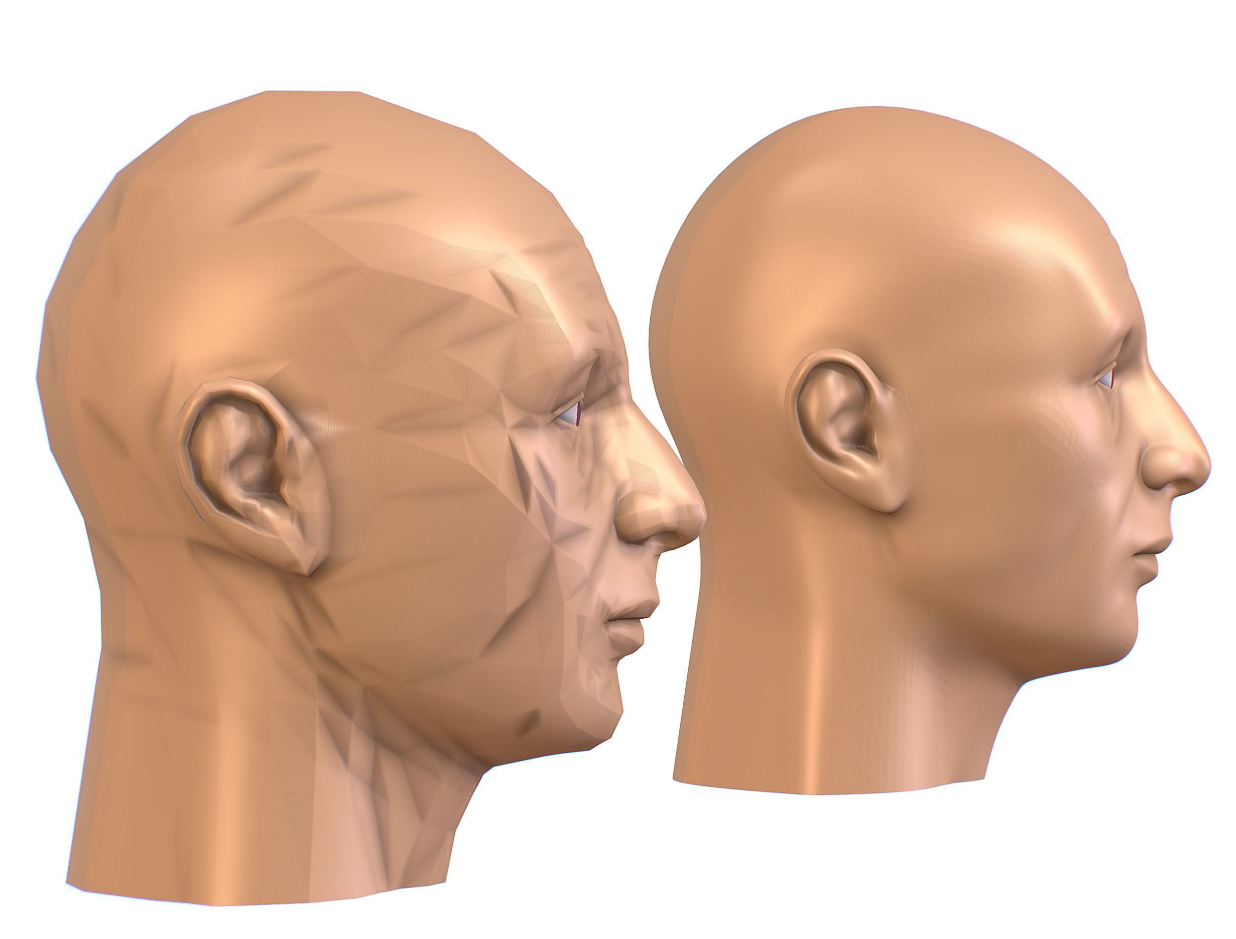 subdivision 3d model bald mans head Low-poly 3D model_4