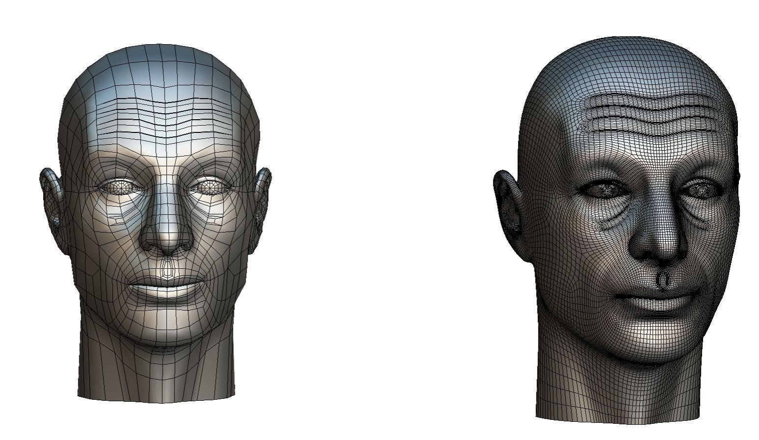 subdivision 3d model bald mans head Low-poly 3D model_23