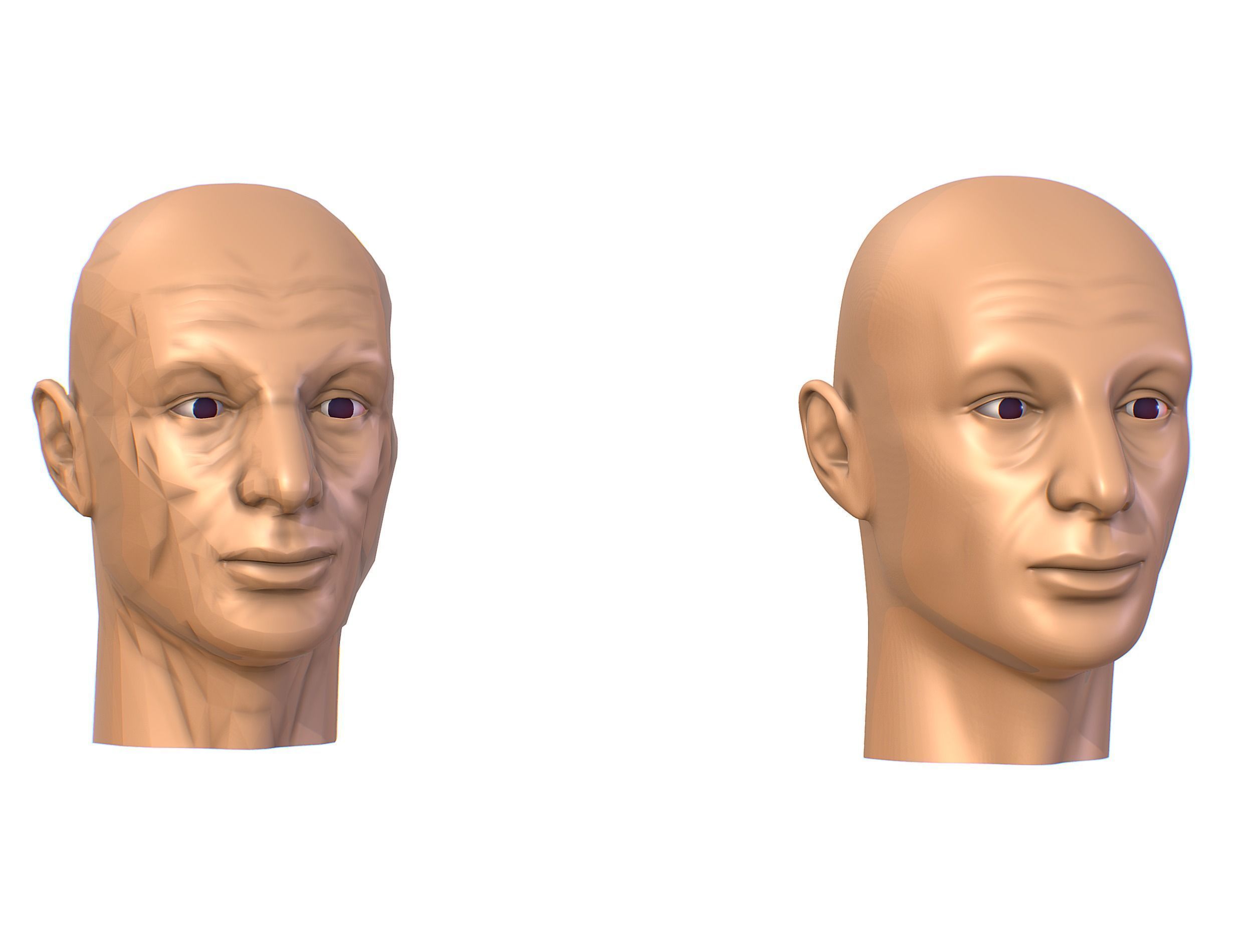 subdivision 3d model bald mans head Low-poly 3D model_2