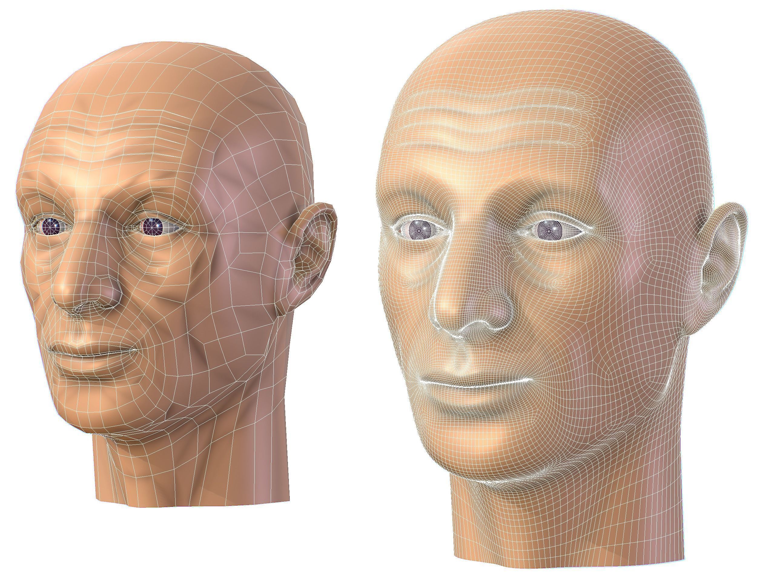 subdivision 3d model bald mans head Low-poly 3D model_15