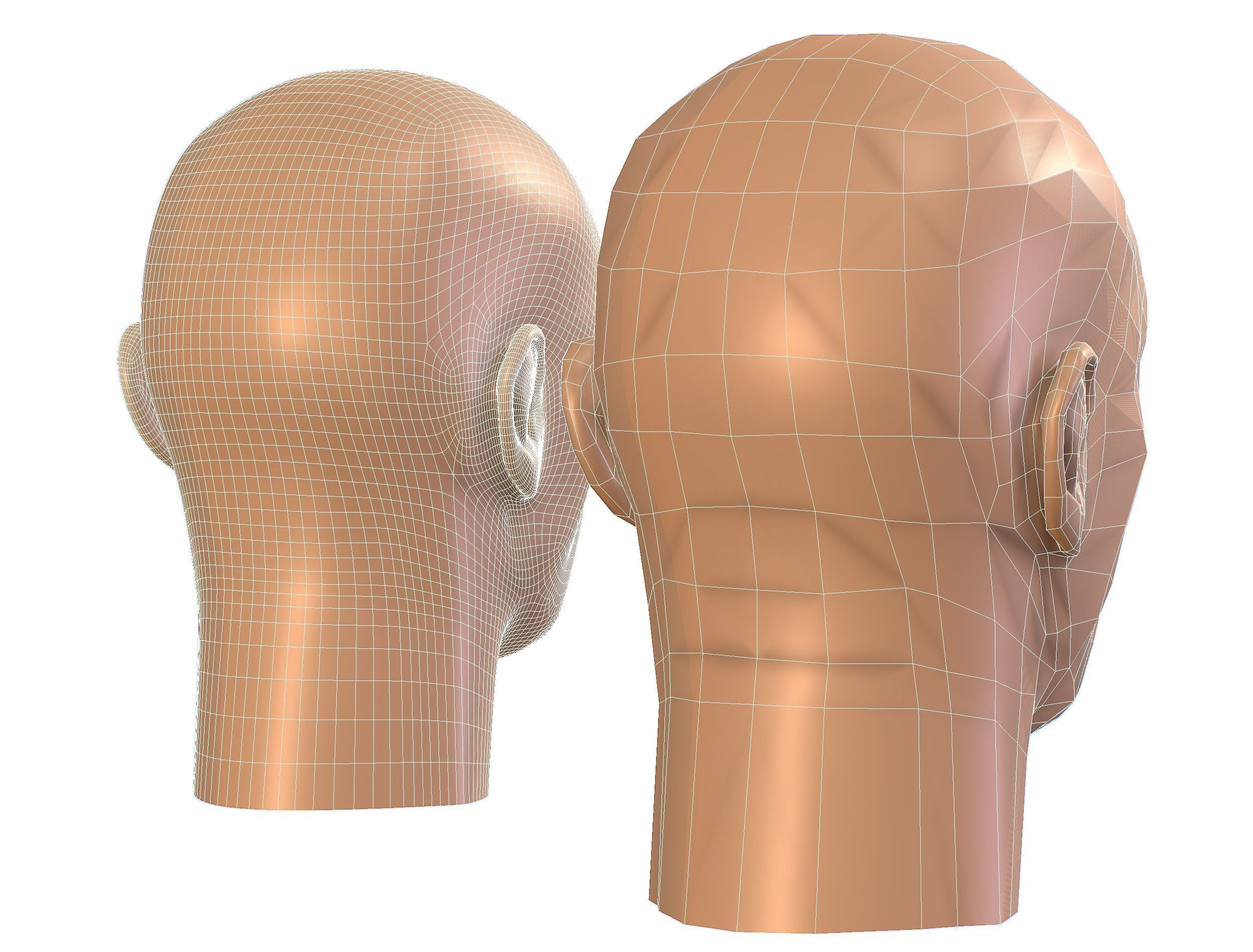 subdivision 3d model bald mans head Low-poly 3D model_19