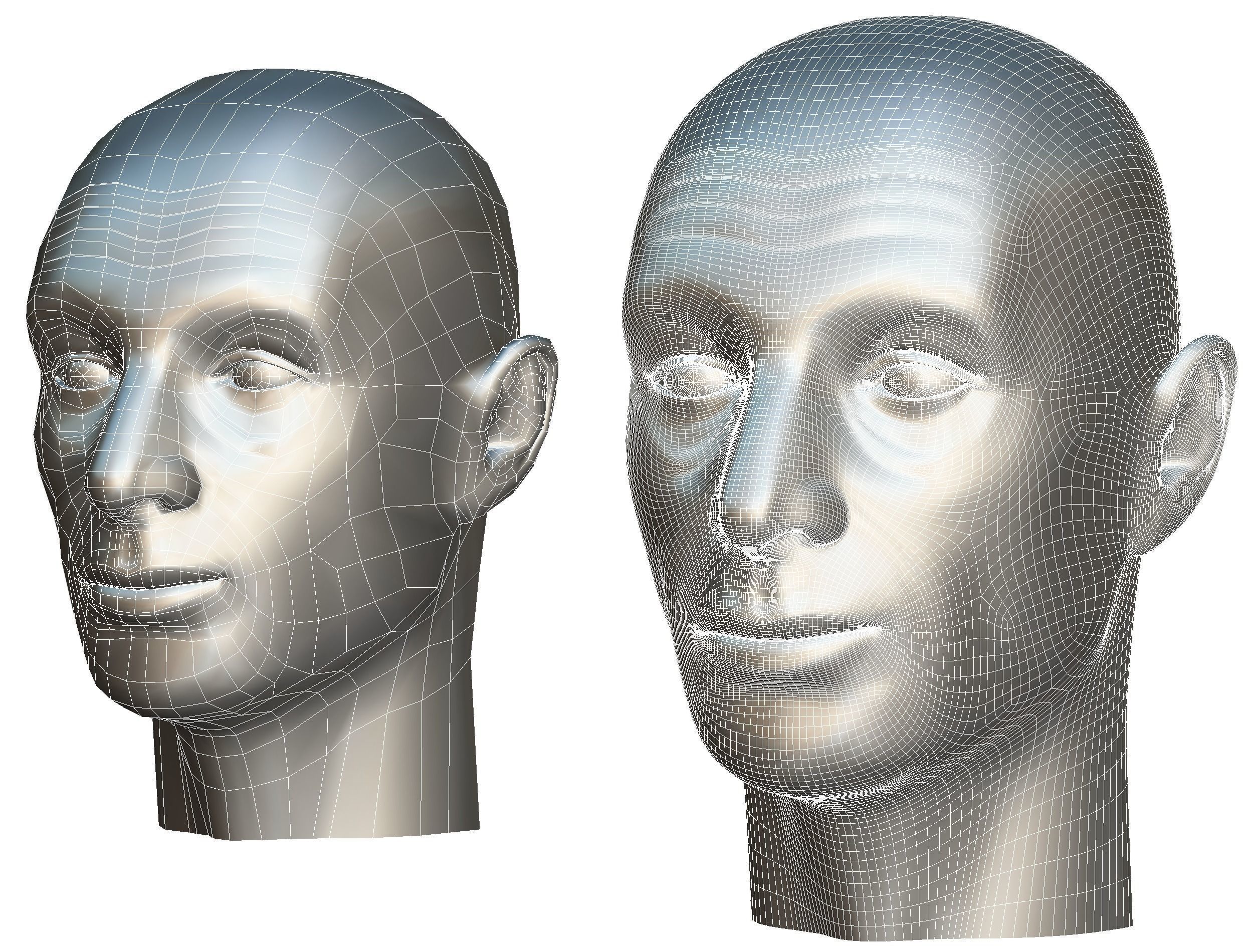 subdivision 3d model bald mans head Low-poly 3D model_16