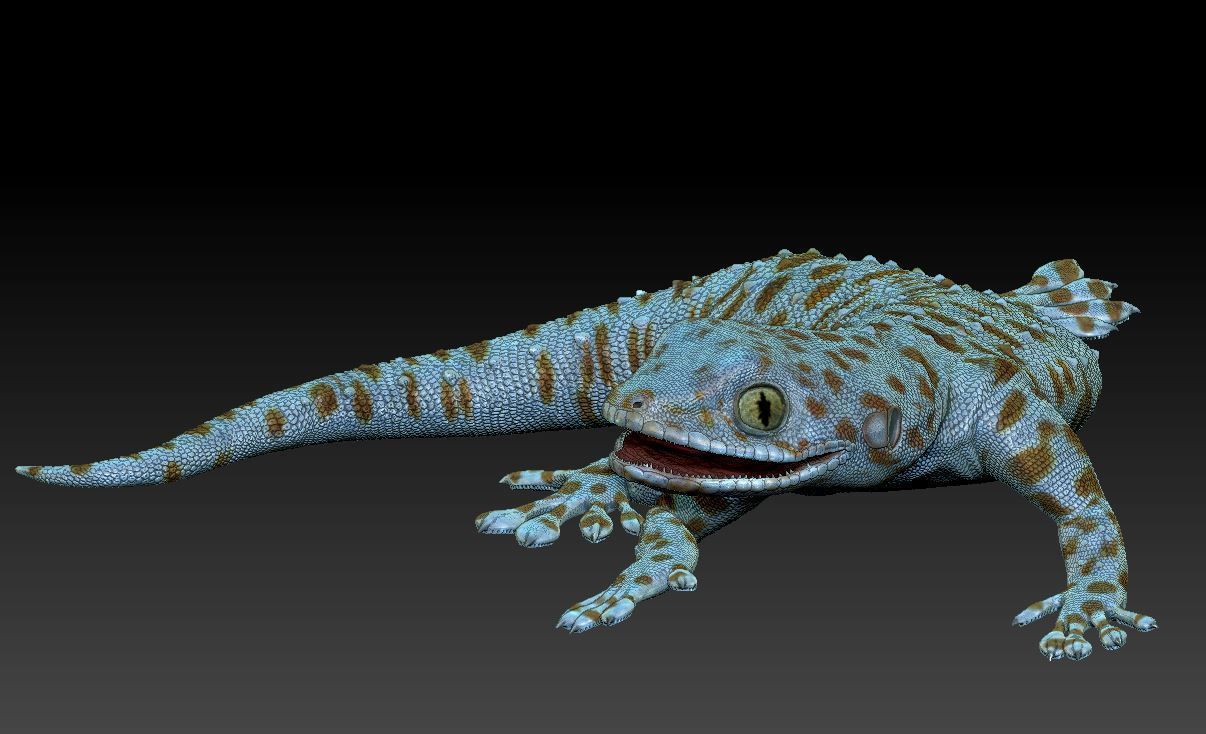 Gecko lizard 3D print model_1