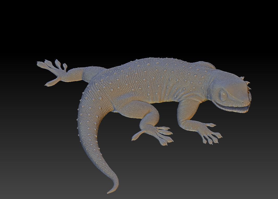 Gecko lizard 3D print model_6
