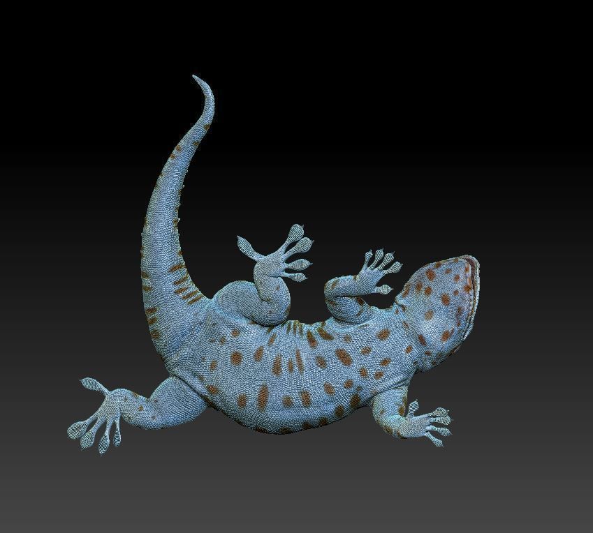 Gecko lizard 3D print model_4