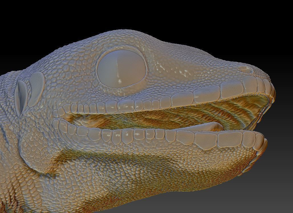 Gecko lizard 3D print model_8