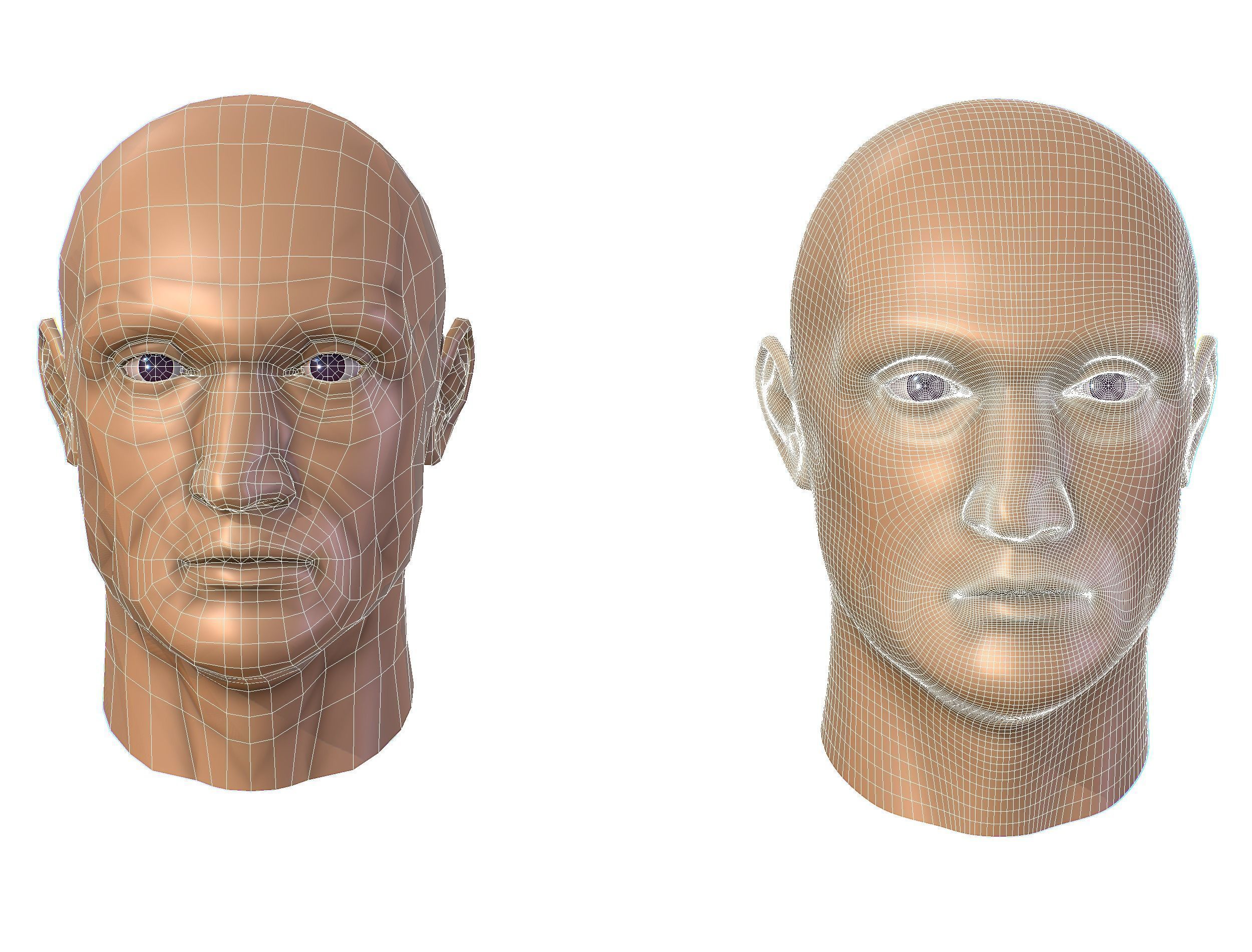 subdivision 3d model bald mans head Low-poly 3D model_17