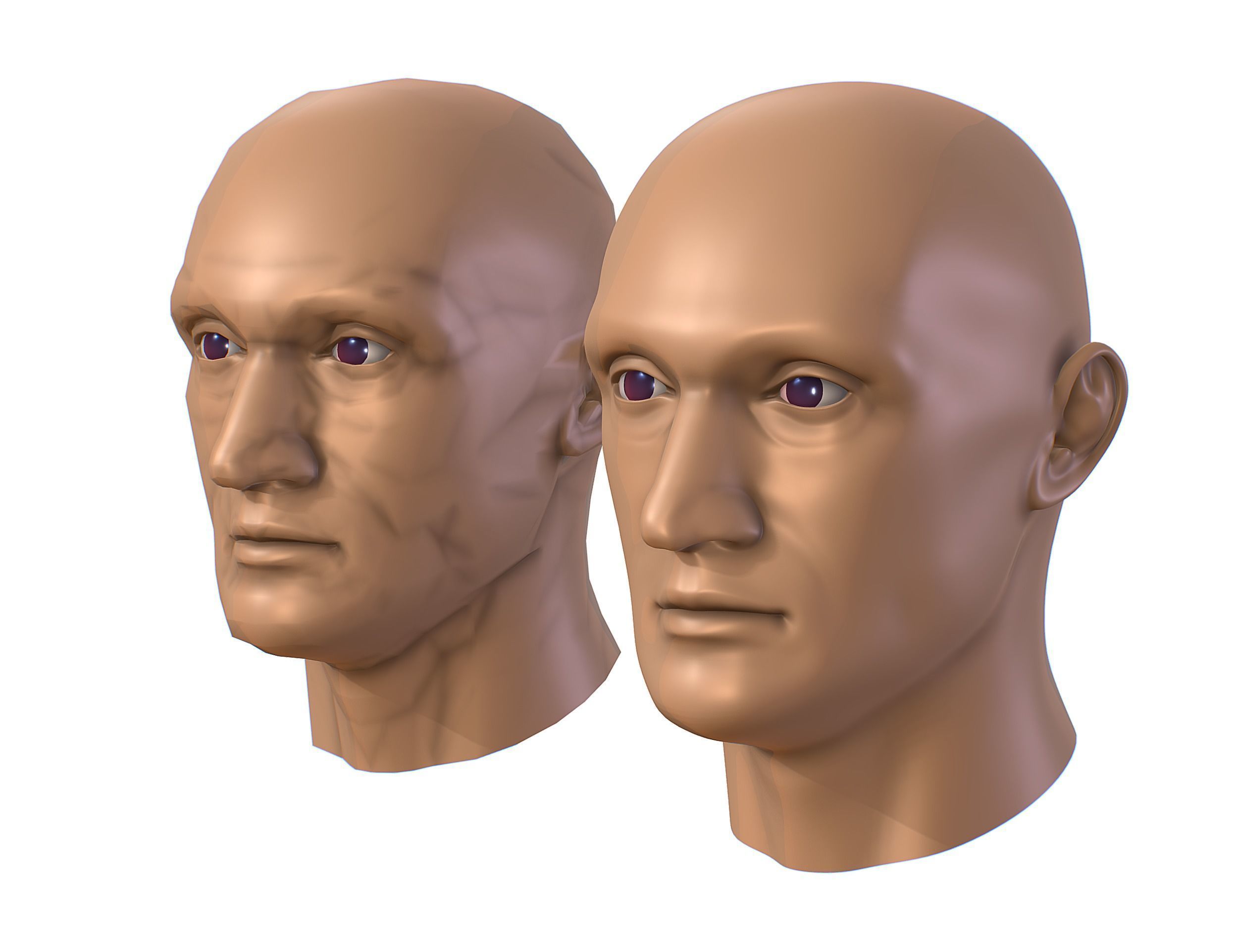 subdivision 3d model bald mans head Low-poly 3D model_1