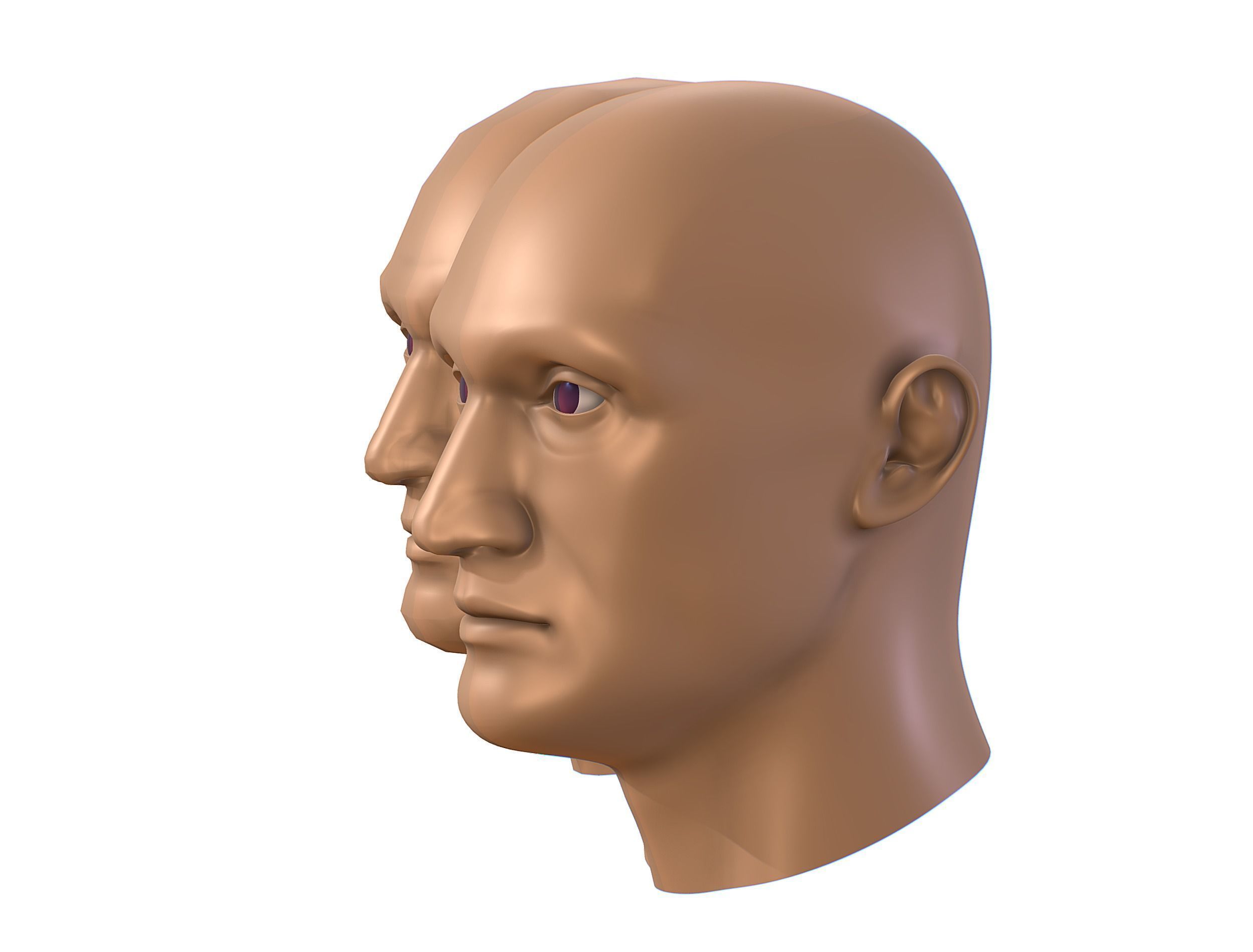 subdivision 3d model bald mans head Low-poly 3D model_2