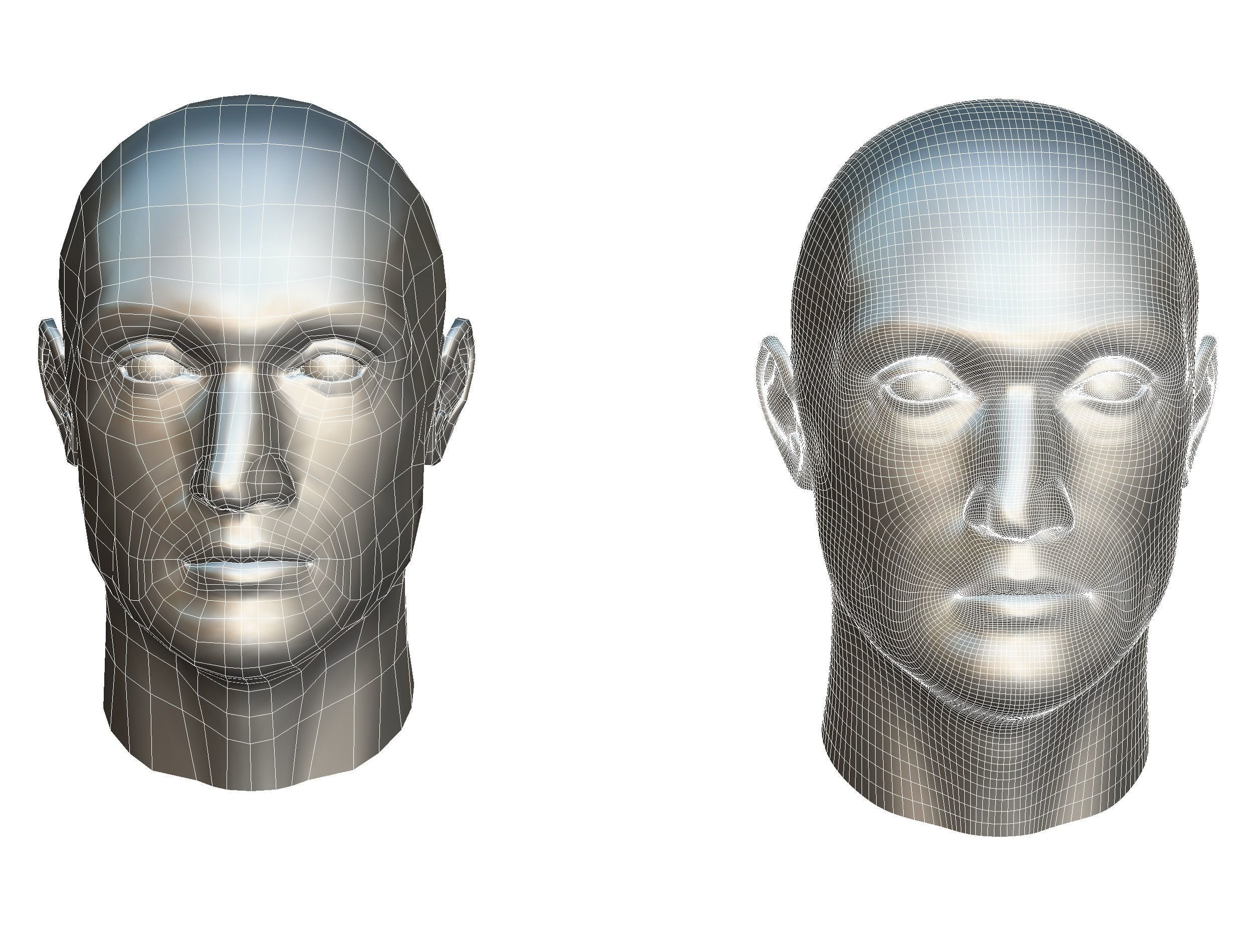 subdivision 3d model bald mans head Low-poly 3D model_18