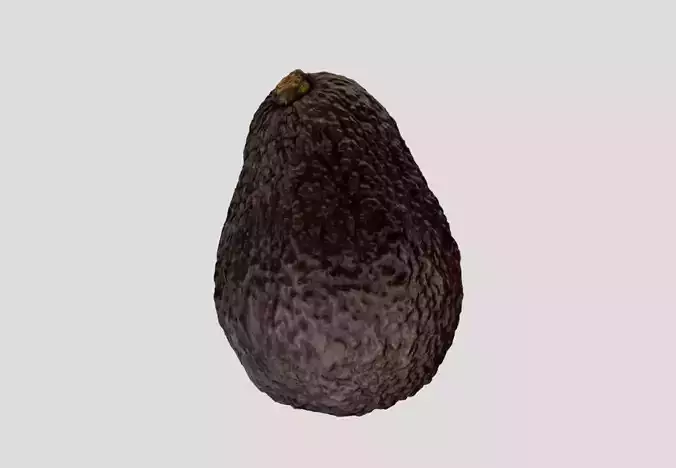 Avocado 3D model