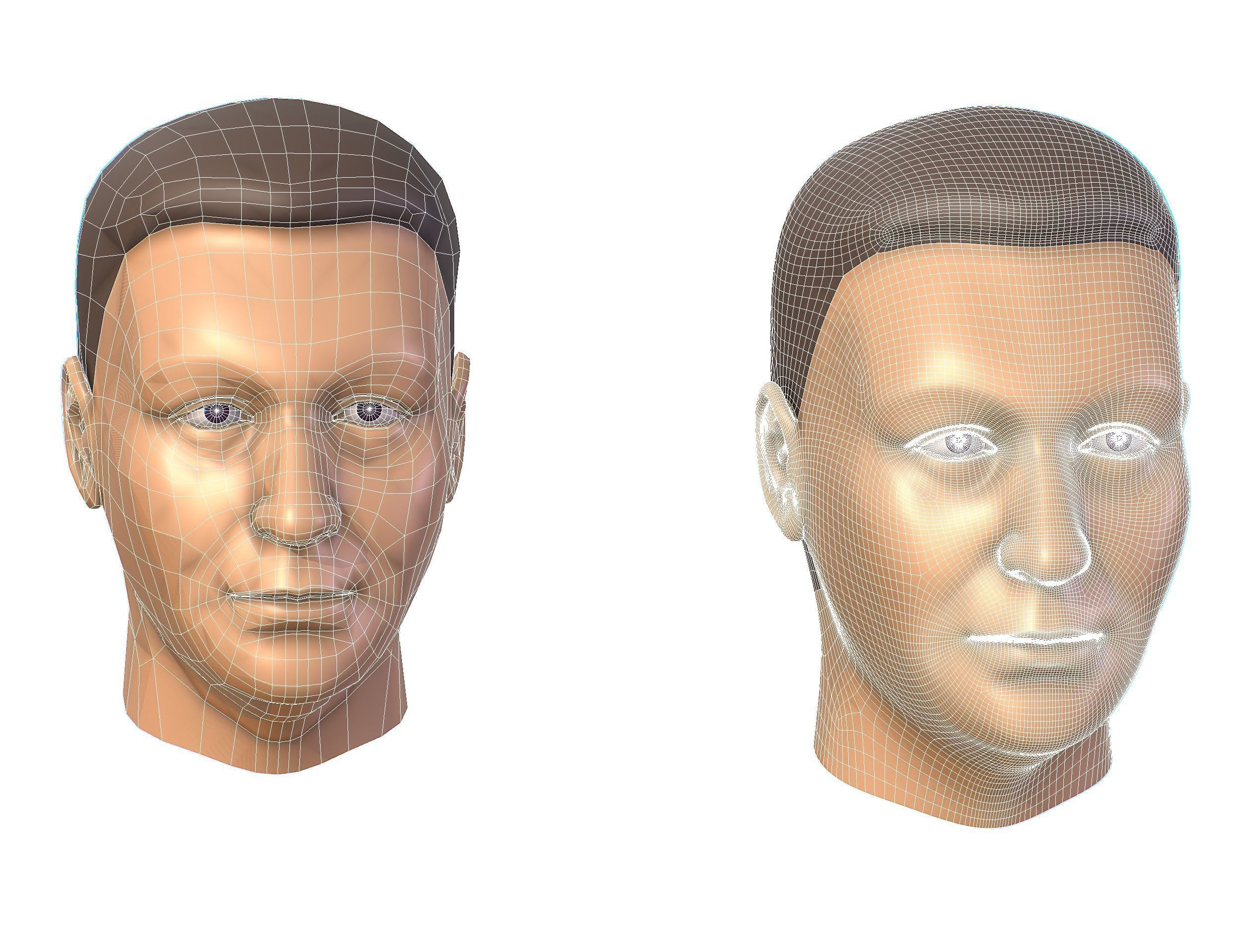 subdivision 3d model mans head Low-poly 3D model_17