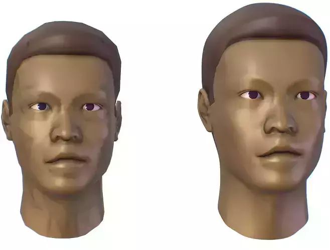 subdivision 3d model bald mans head Low-poly 3D model